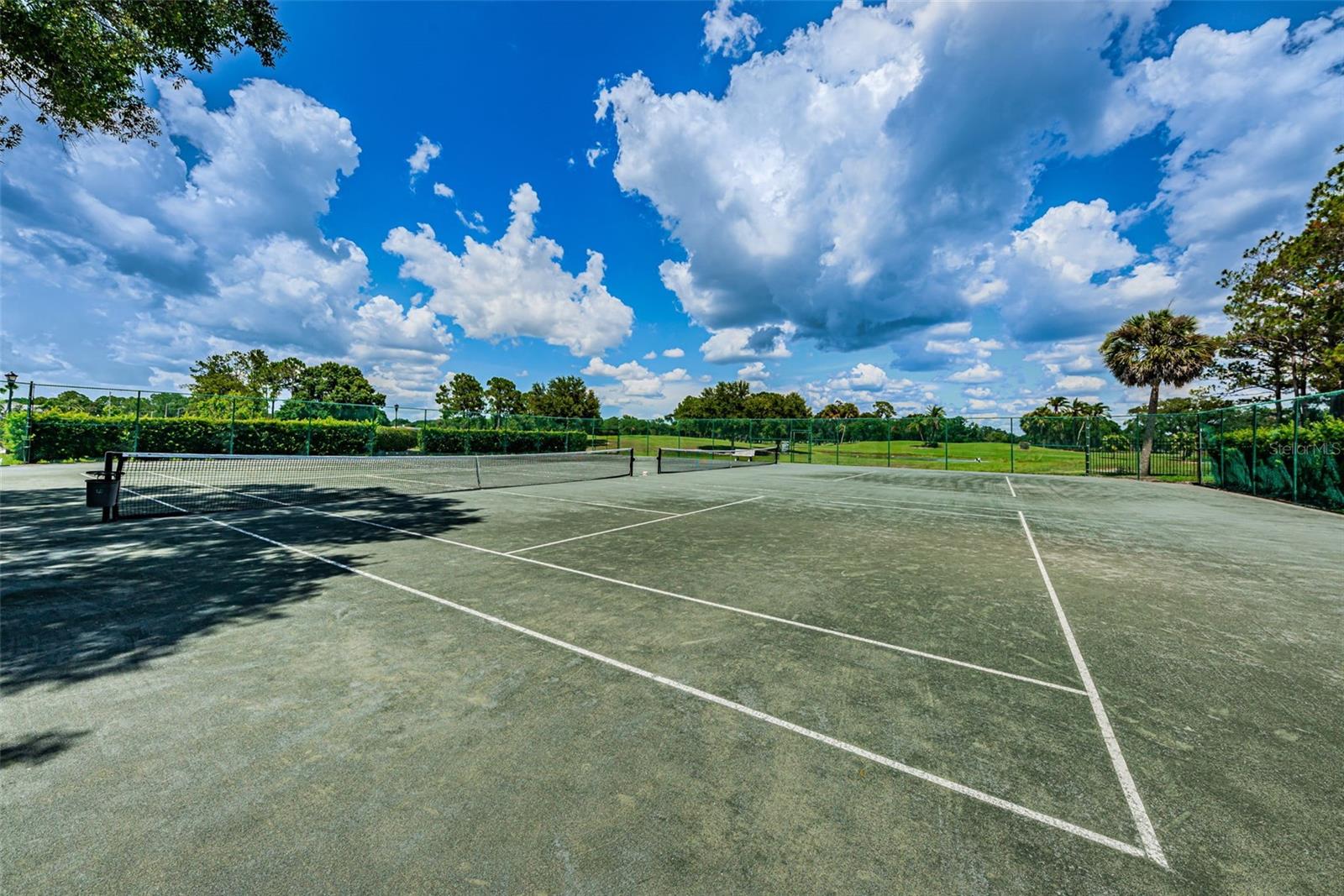 16006 SHINNECOCK DR, ODESSA, FL, 33556