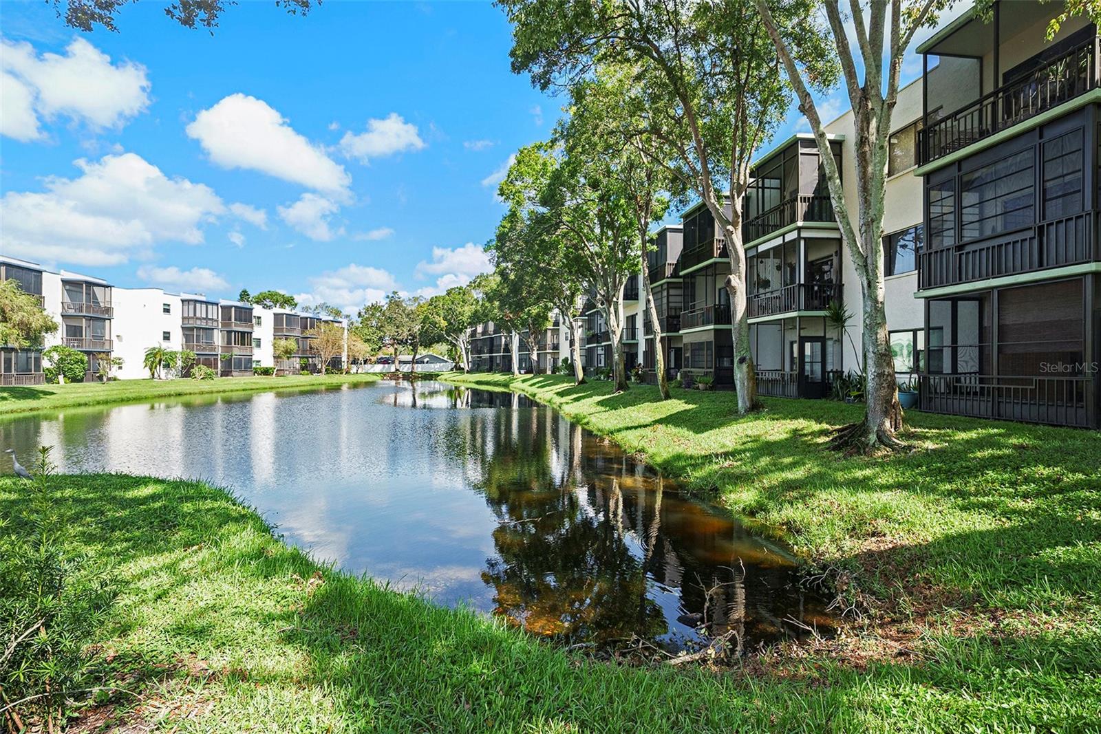 5980 TERRACE PARK DR N #105, ST PETERSBURG, FL, 33709