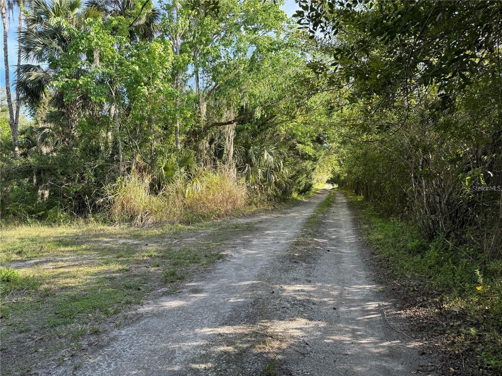 ORANGE ST/SEC 1, OVIEDO, FL, 32765