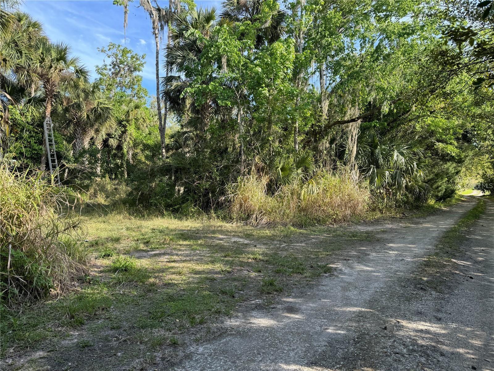 ORANGE ST/SEC 1, OVIEDO, FL, 32765