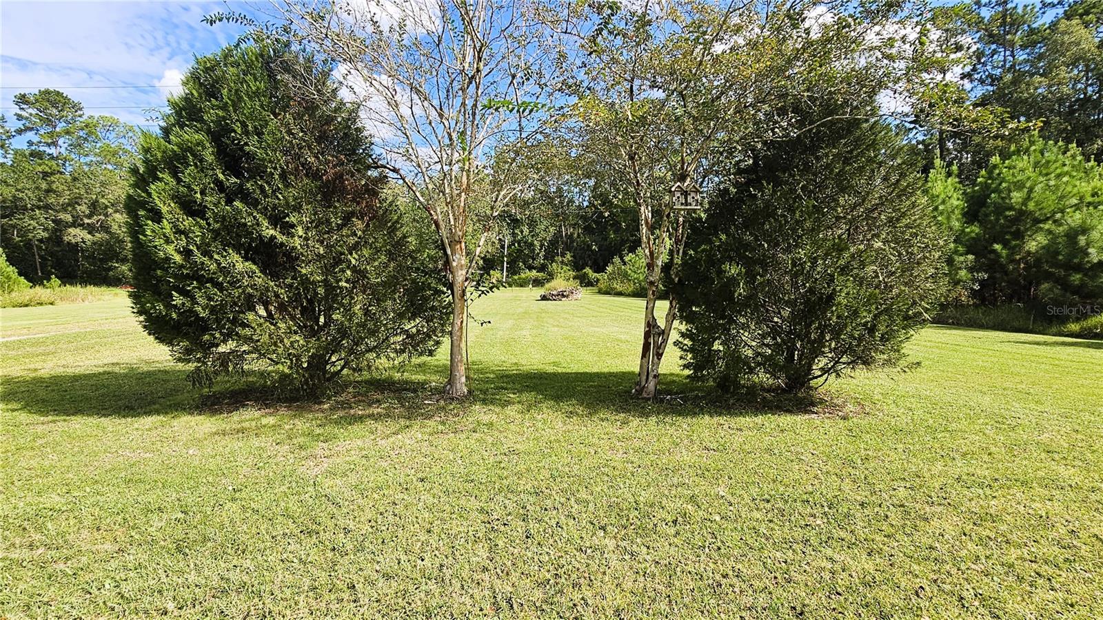 10211 NE HIGHWAY 314, SILVER SPRINGS, FL, 34488