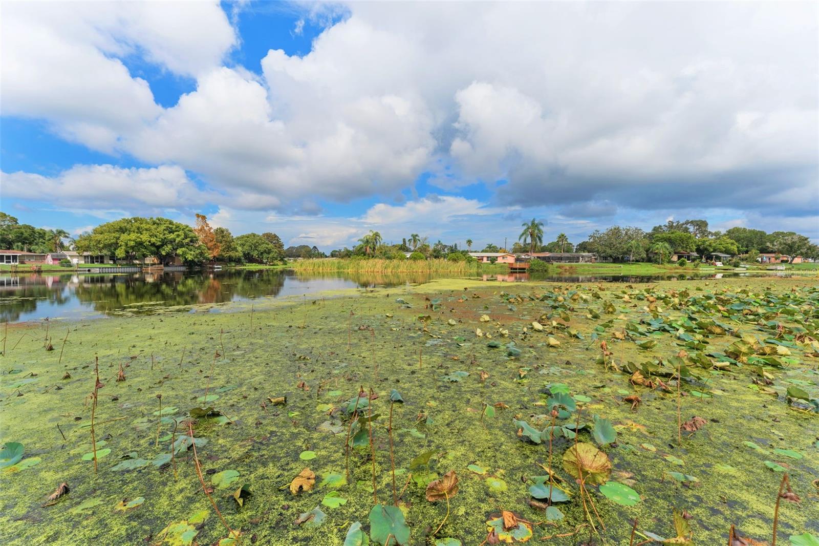 5309 RIDDLE RD, HOLIDAY, FL, 34690