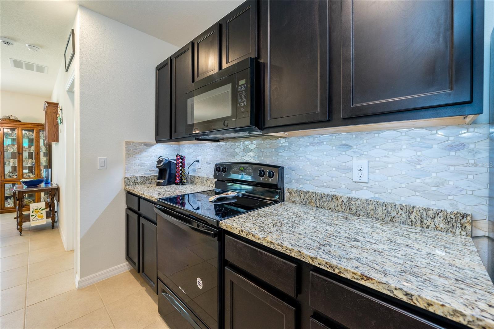 1523 GLEN GROVE LOOP, WESLEY CHAPEL, FL, 33543