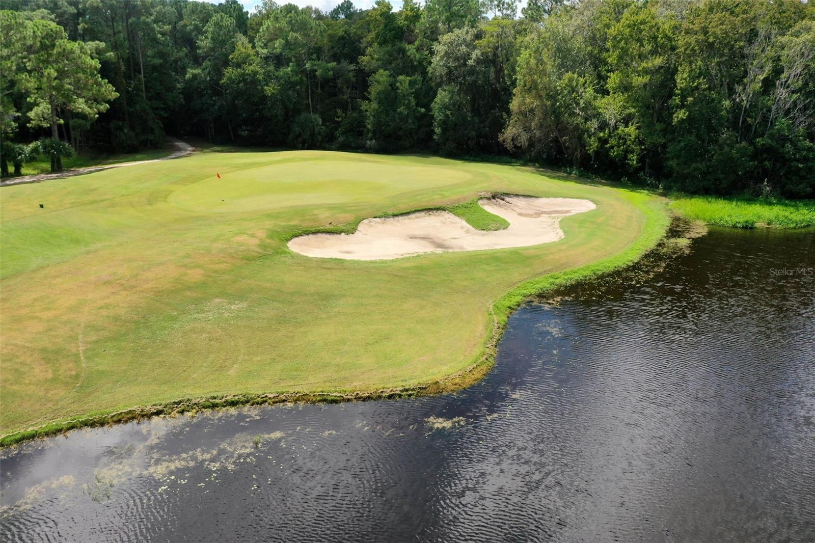 13 ELDER DR, PALM COAST, FL, 32164