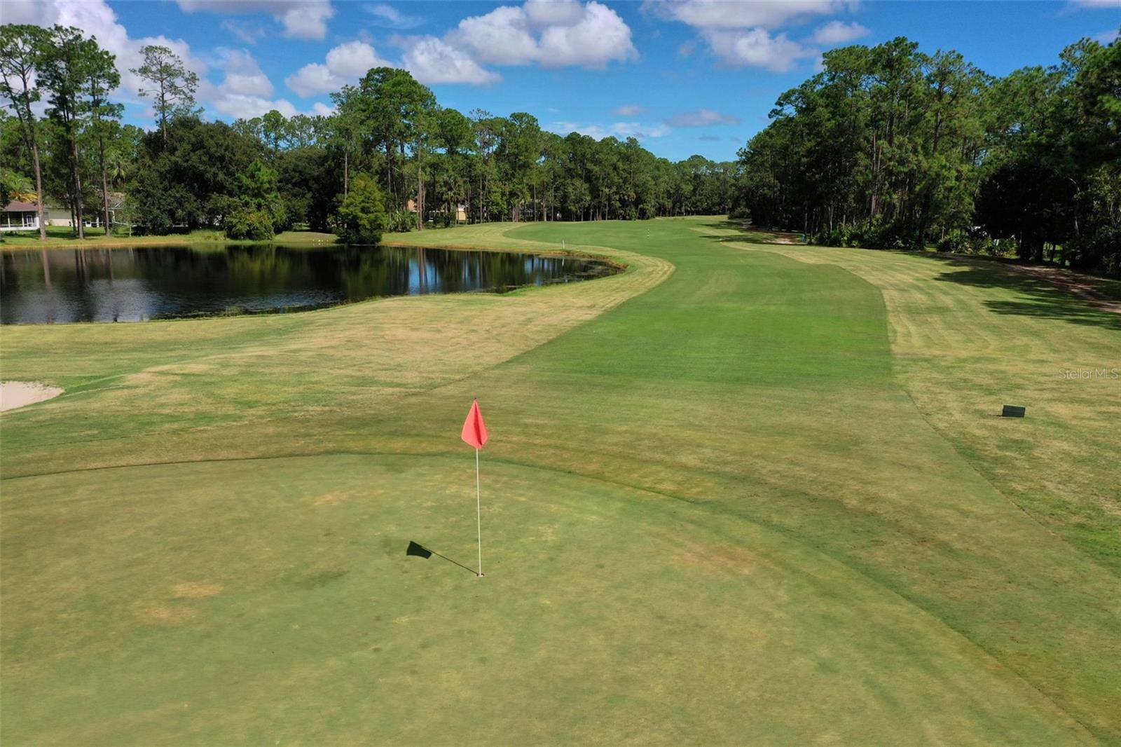 13 ELDER DR, PALM COAST, FL, 32164