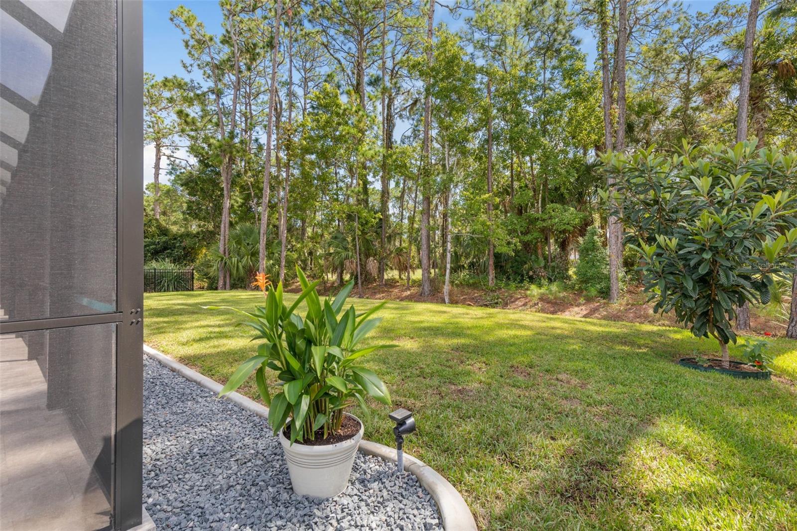 13 ELDER DR, PALM COAST, FL, 32164