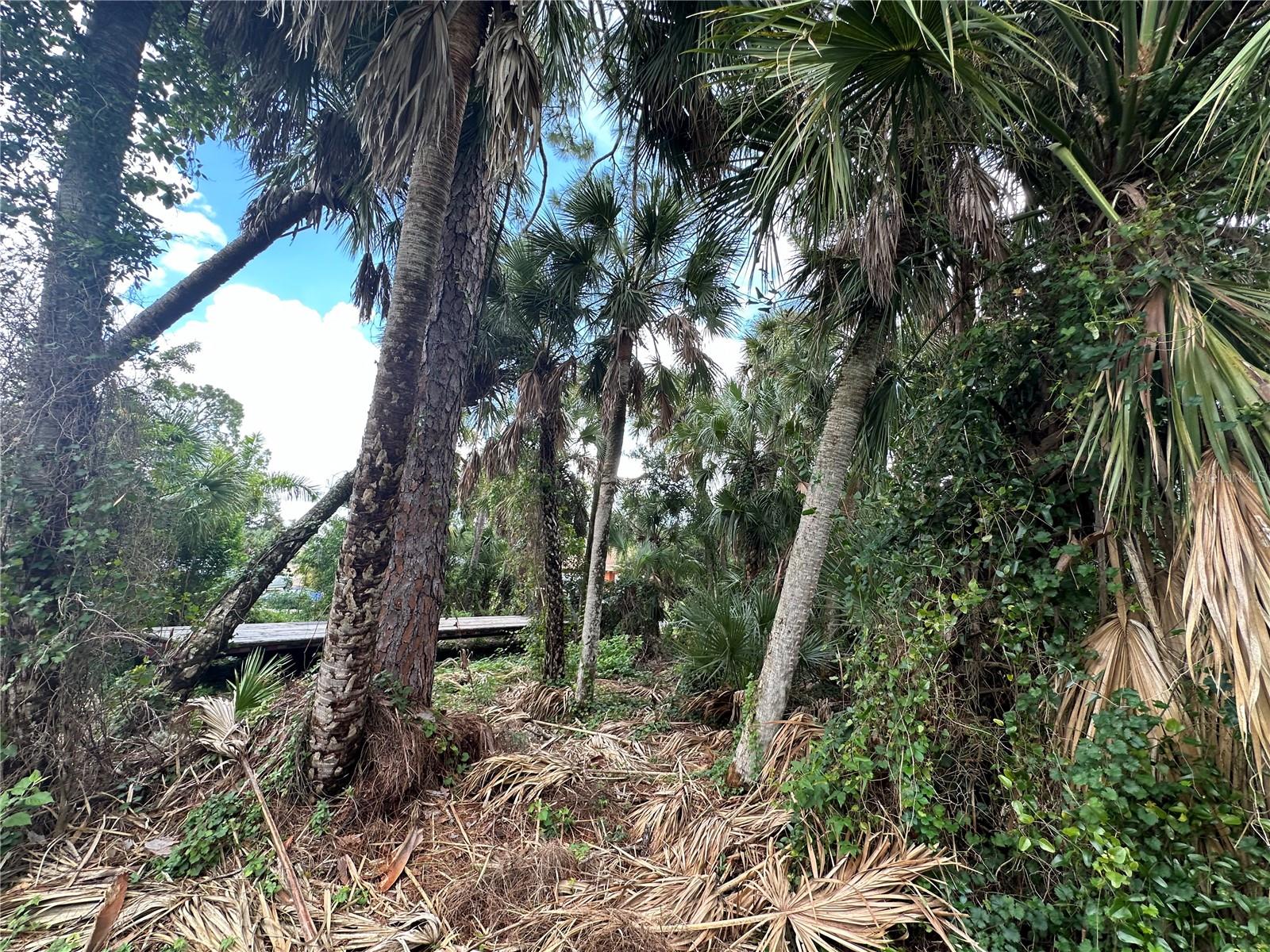 GLOBE TER, NORTH PORT, FL, 34286