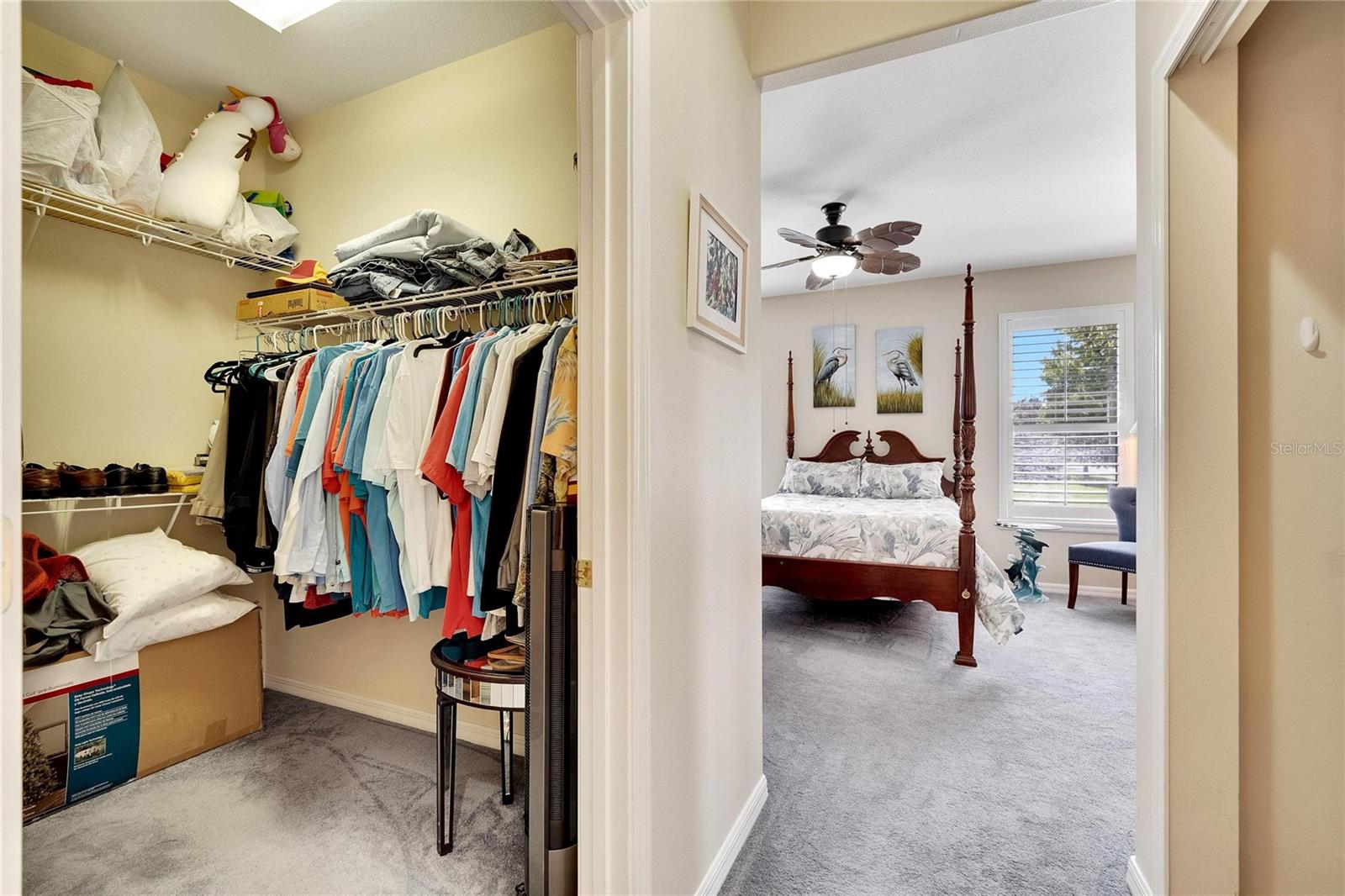 242 SHELL FALLS DR, APOLLO BEACH, FL, 33572