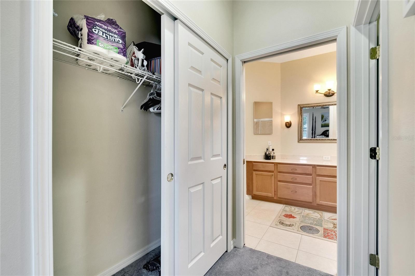 242 SHELL FALLS DR, APOLLO BEACH, FL, 33572