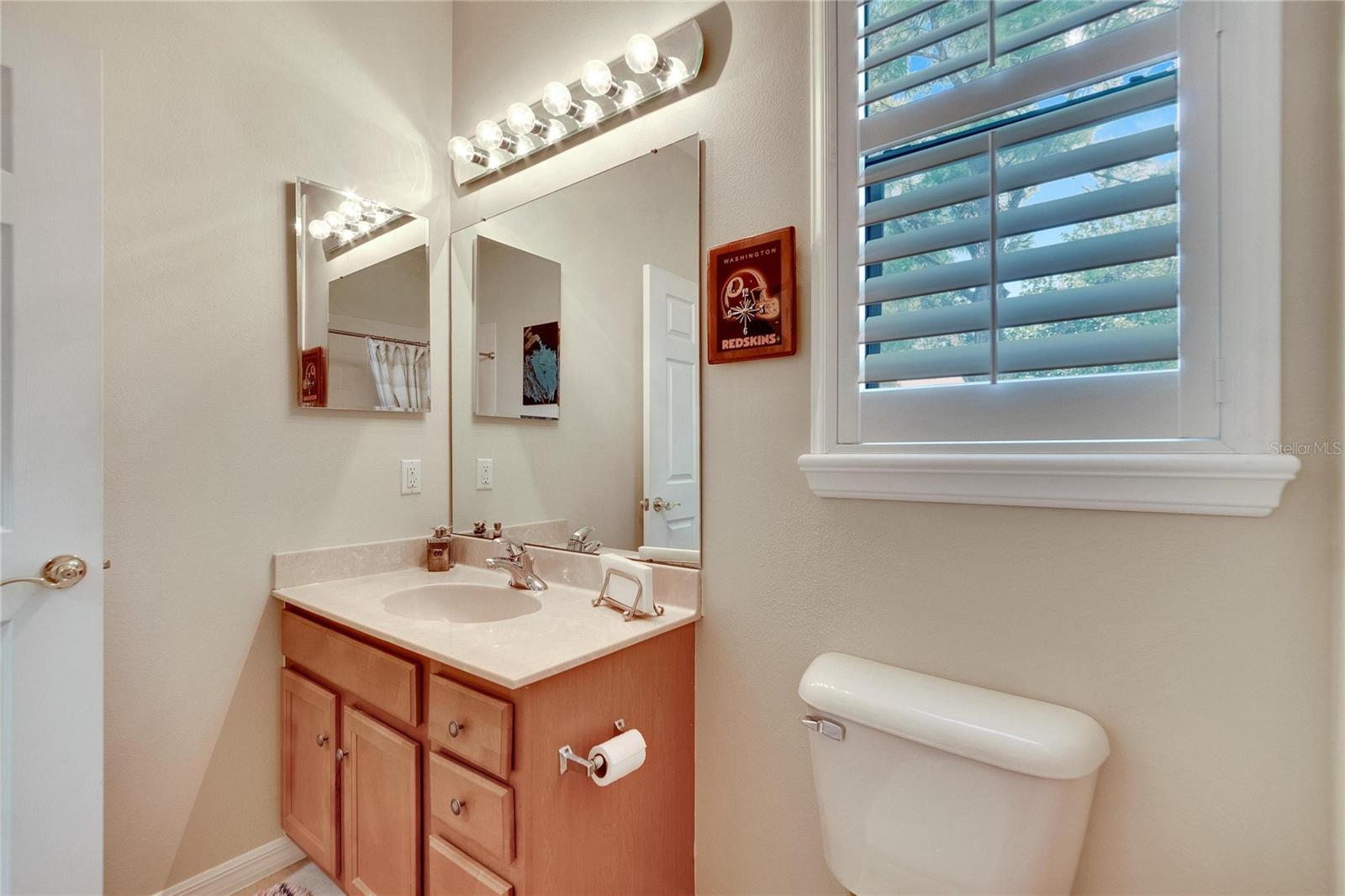 242 SHELL FALLS DR, APOLLO BEACH, FL, 33572