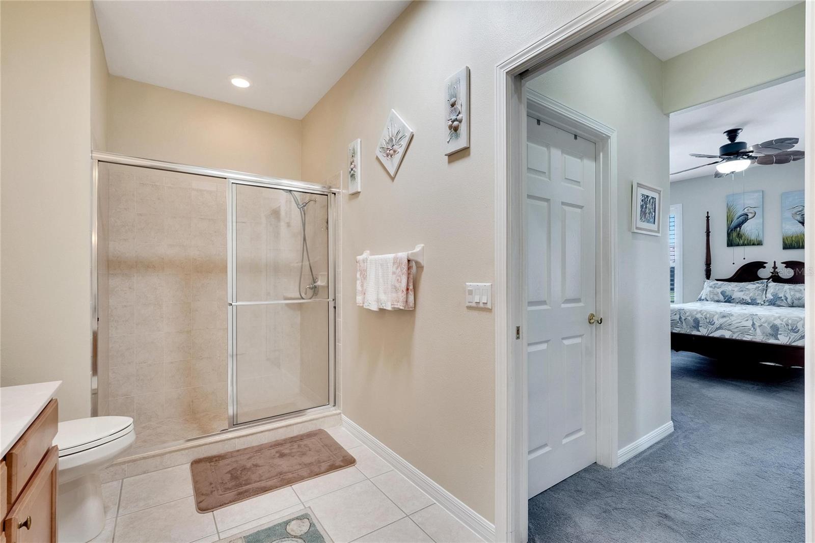 242 SHELL FALLS DR, APOLLO BEACH, FL, 33572