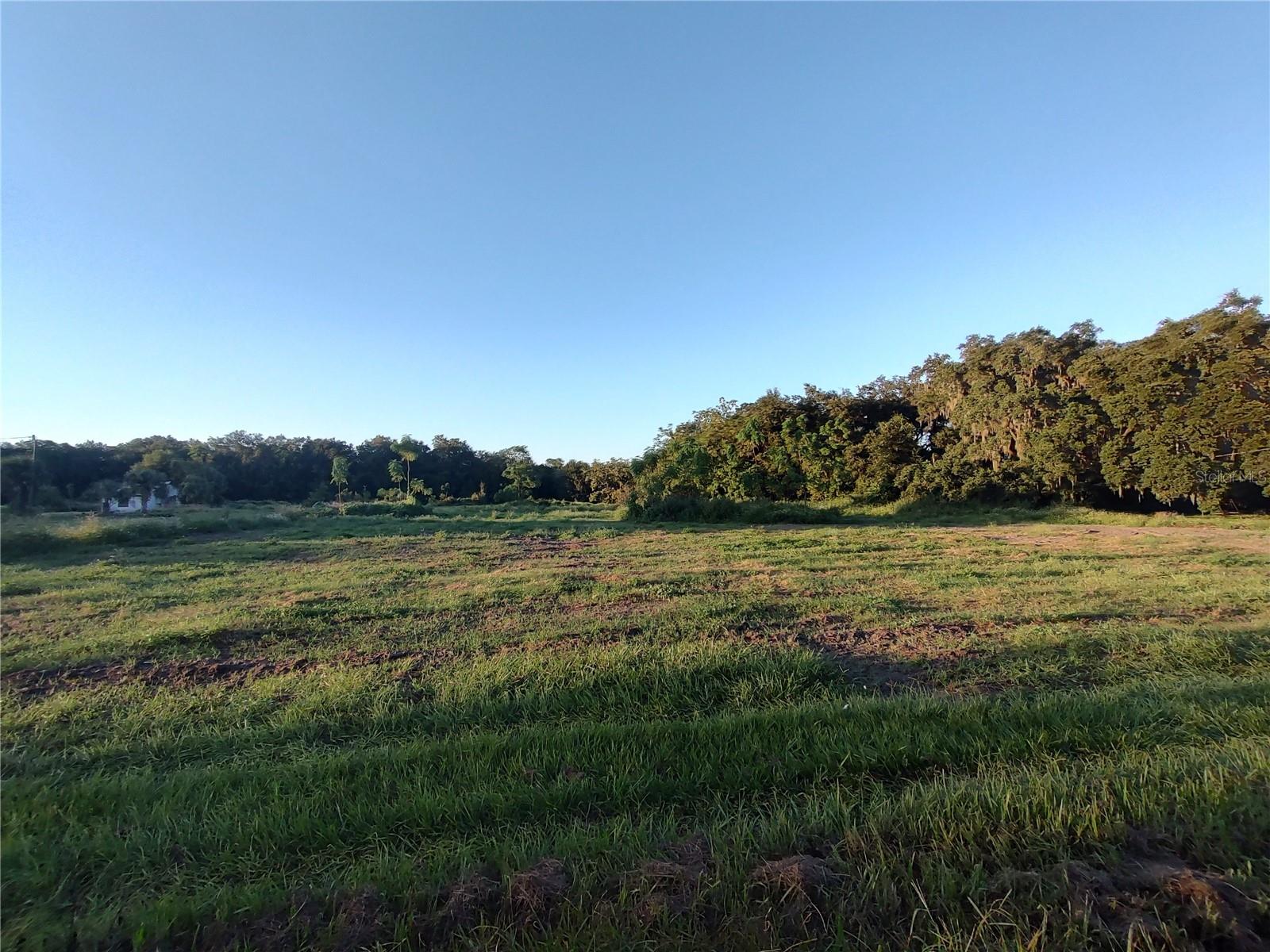 THONOTOSASSA RD, PLANT CITY, FL, 33565