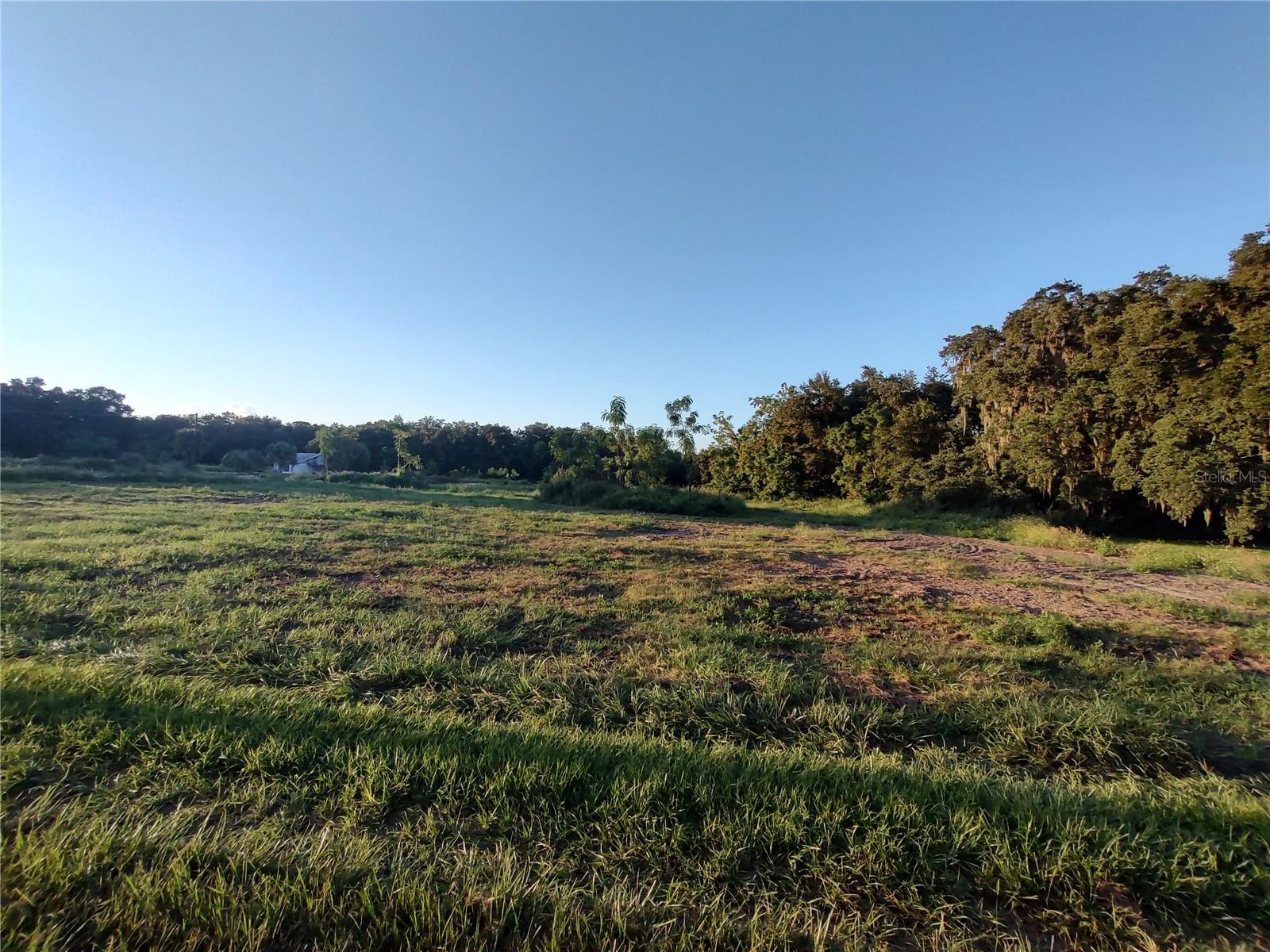 THONOTOSASSA RD, PLANT CITY, FL, 33565