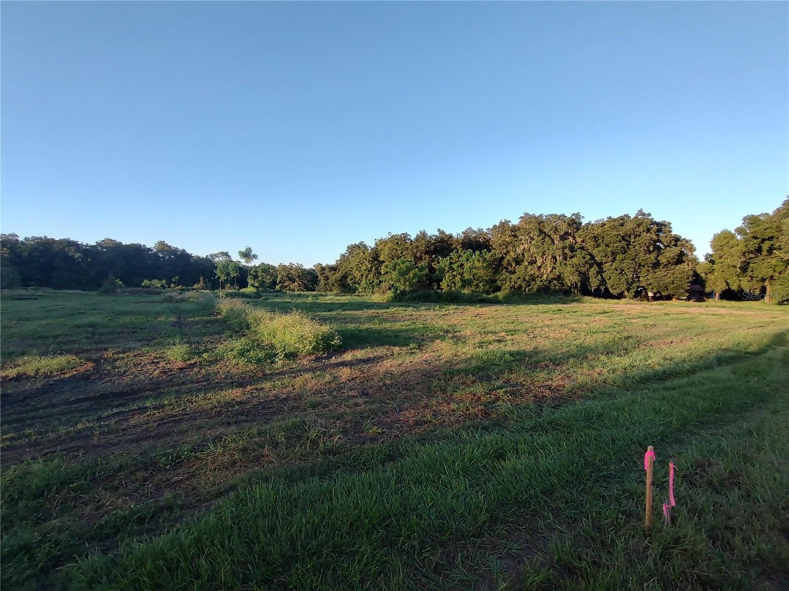 THONOTOSASSA RD, PLANT CITY, FL, 33565