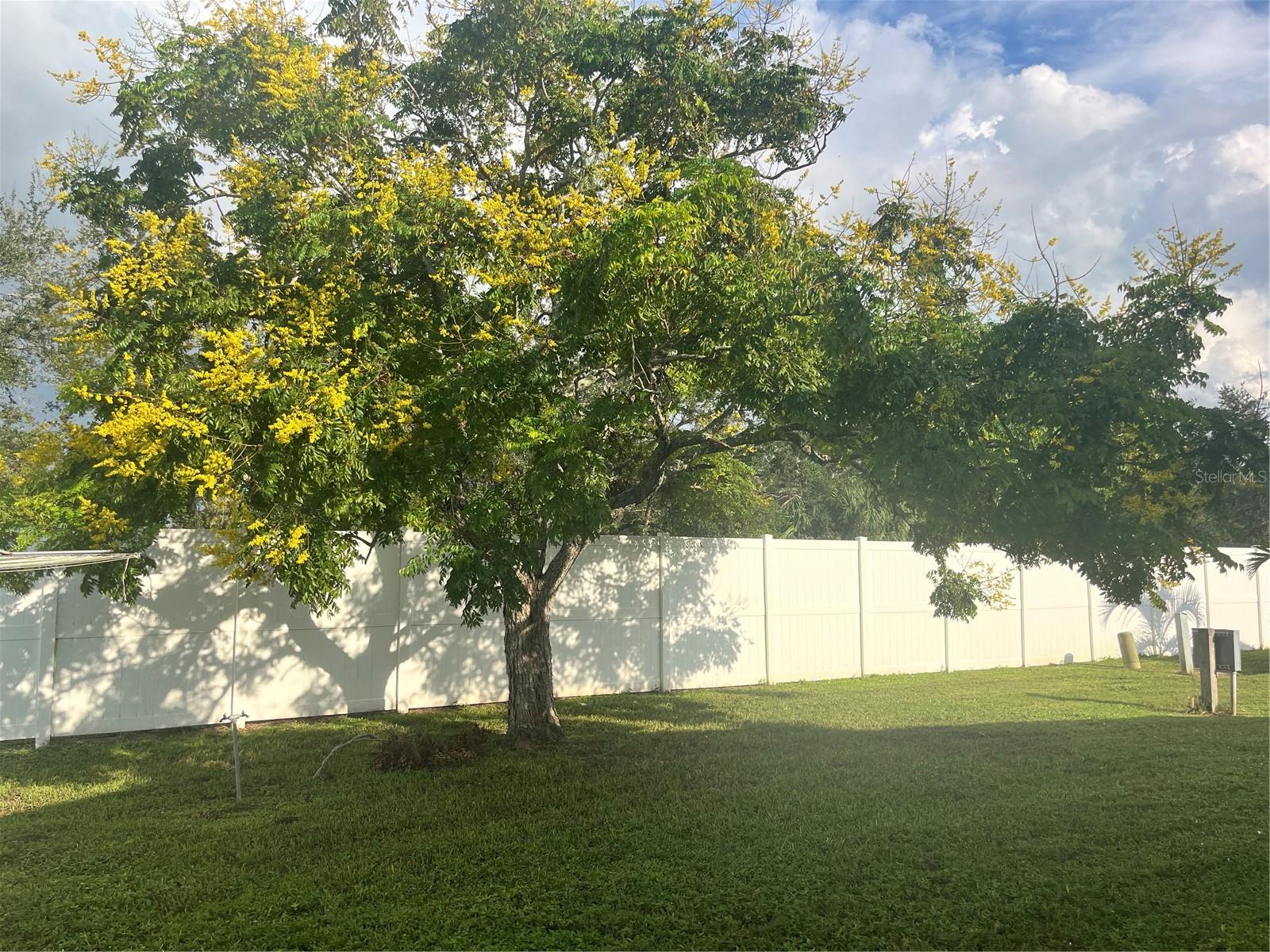 5316 53RD AVE E #F17, BRADENTON, FL, 34203