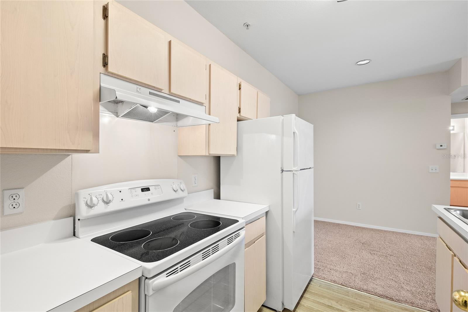 12904 SANCTUARY COVE DR #301, TEMPLE TERRACE, FL, 33637