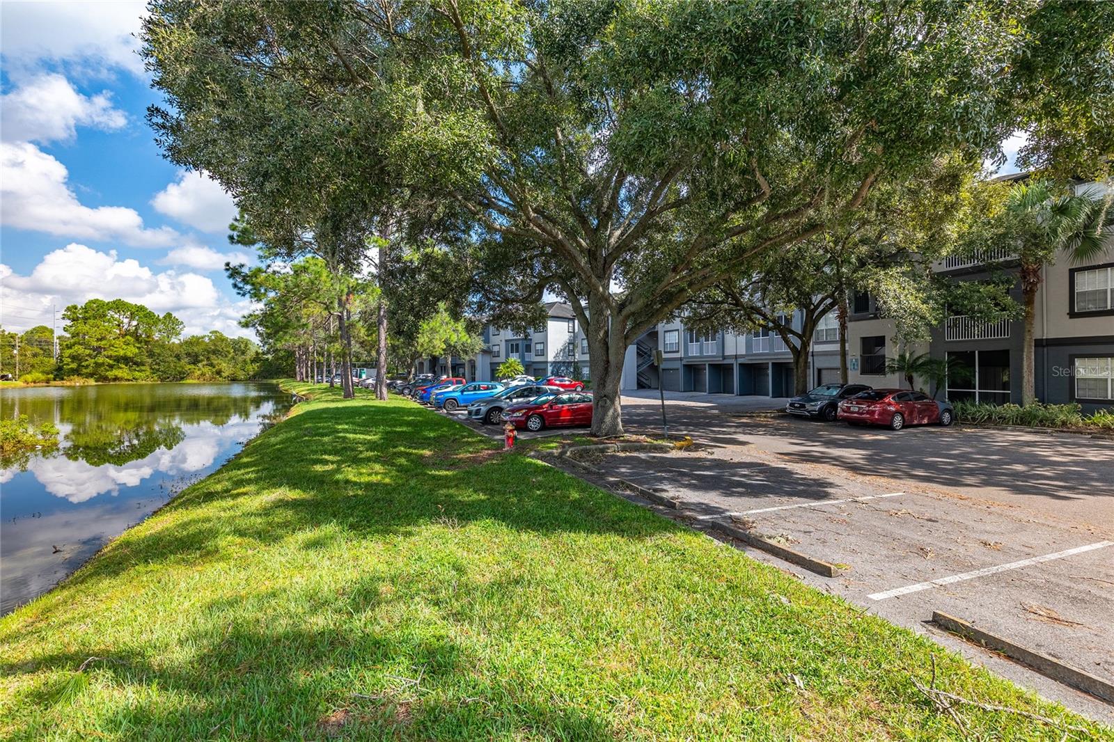 12904 SANCTUARY COVE DR #301, TEMPLE TERRACE, FL, 33637