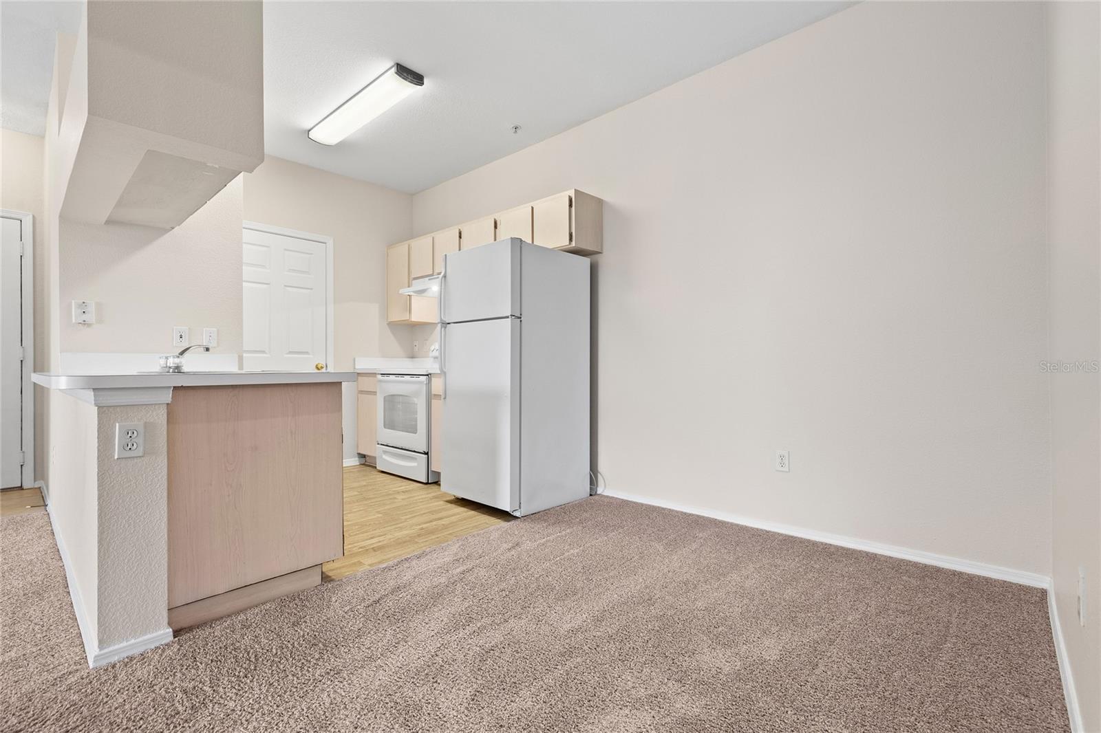12904 SANCTUARY COVE DR #301, TEMPLE TERRACE, FL, 33637