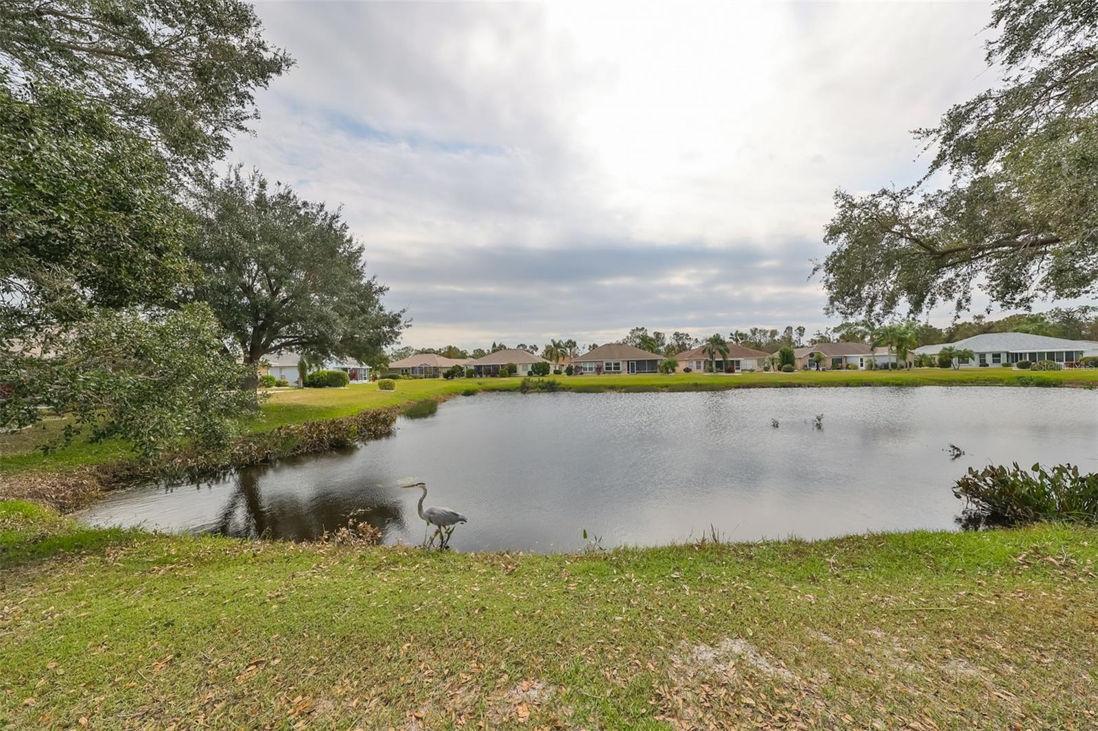 2203 W DEL WEBB BLVD, SUN CITY CENTER, FL, 33573