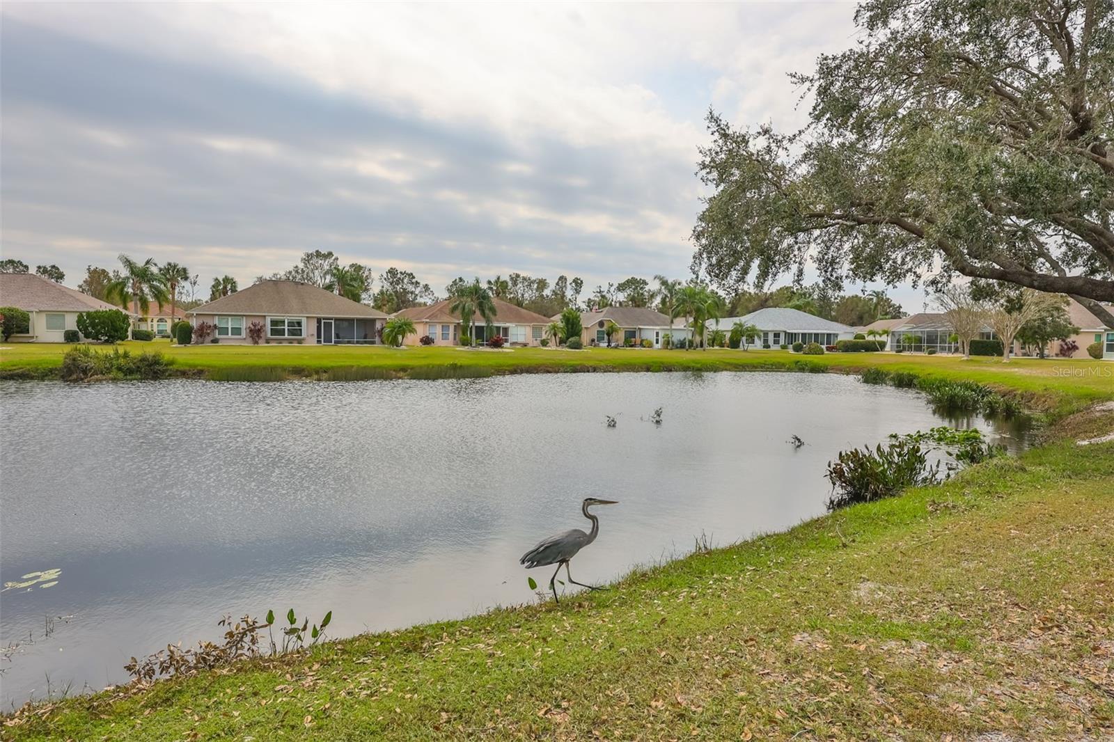 2203 W DEL WEBB BLVD, SUN CITY CENTER, FL, 33573