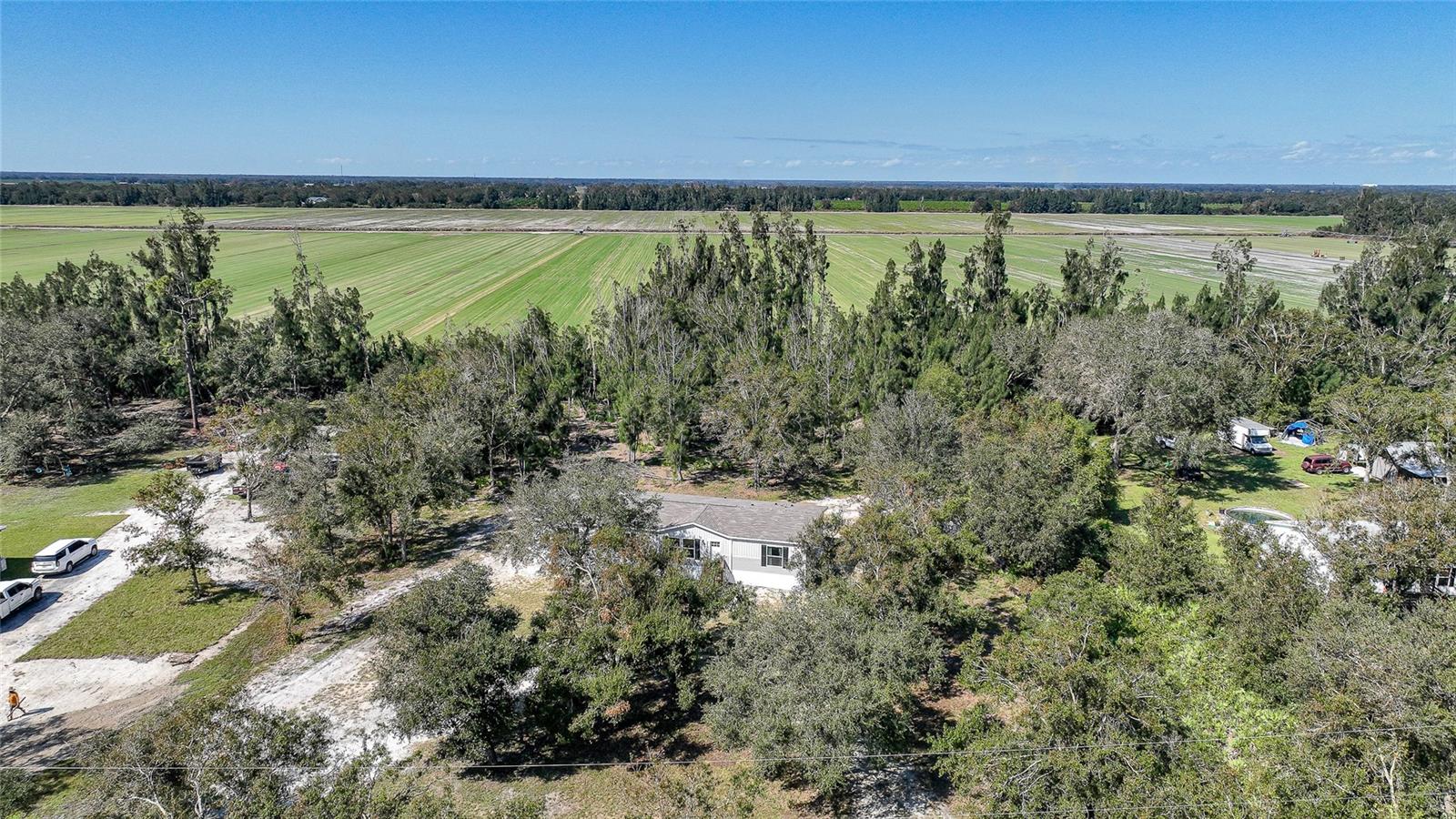 4509 SE WHEAT AVE, ARCADIA, FL, 34266