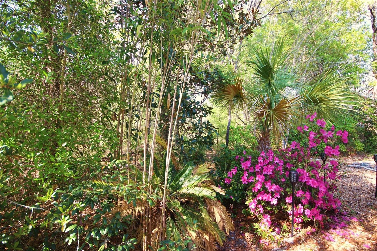 14 CARNATION CT, HOMOSASSA, FL, 34446