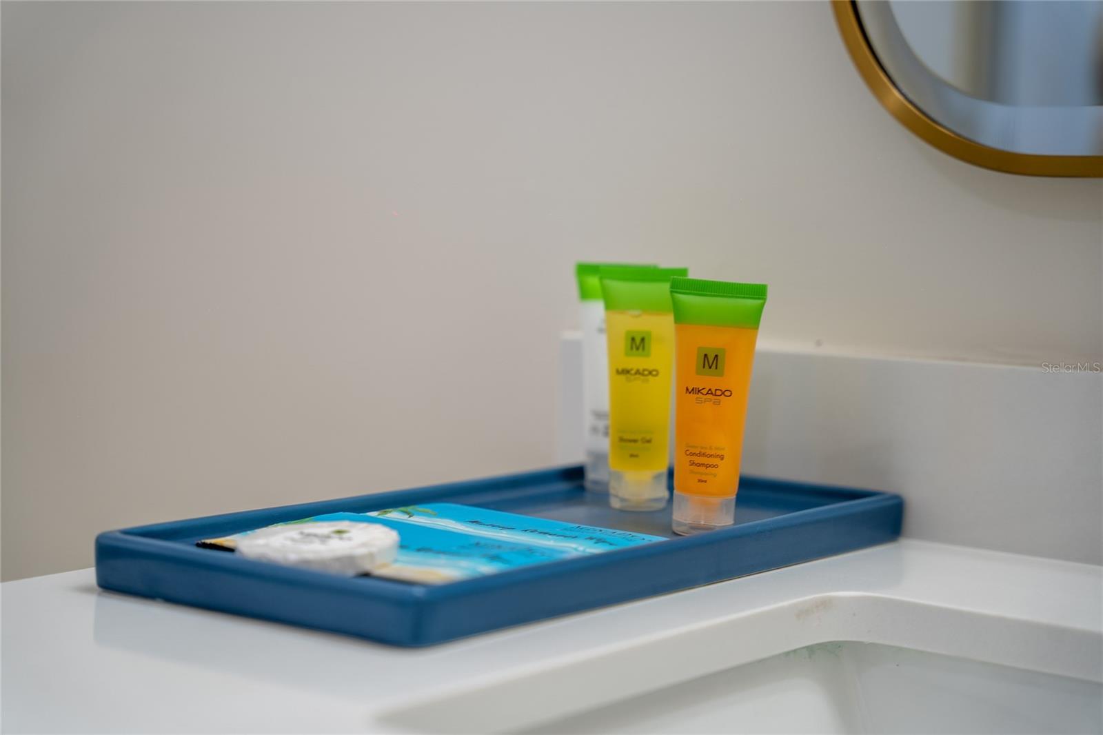 6165 CARRIER DR #1210, ORLANDO, FL, 32819