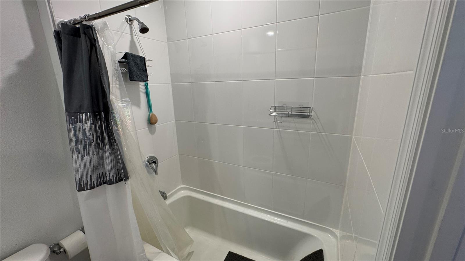 2022 CRAPE JASMINE #2022, ORLANDO, FL, 32824