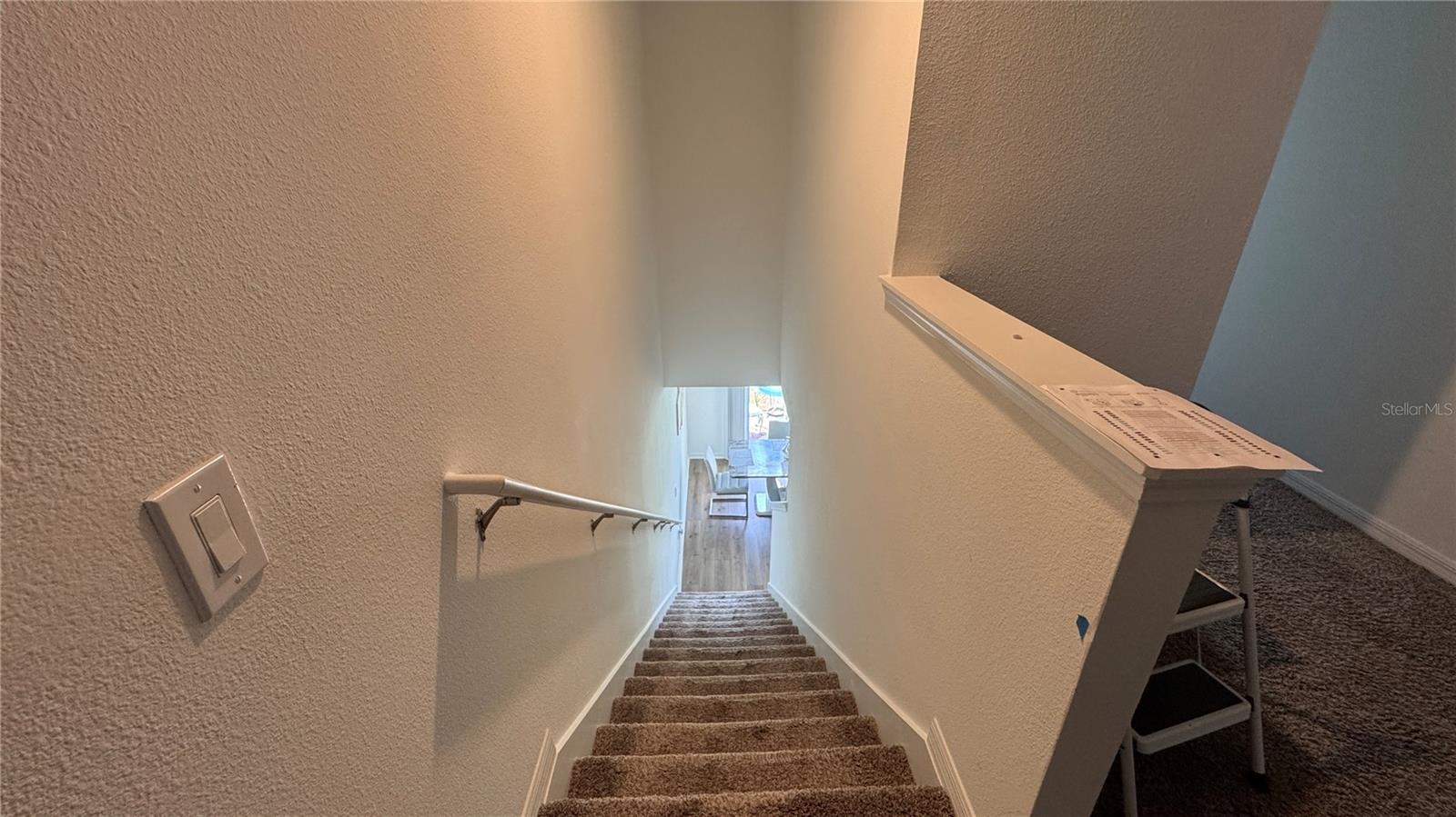 2022 CRAPE JASMINE #2022, ORLANDO, FL, 32824