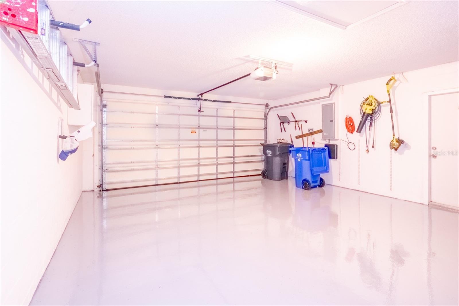 8303 TORRINGTON AVE, TAMPA, FL, 33647