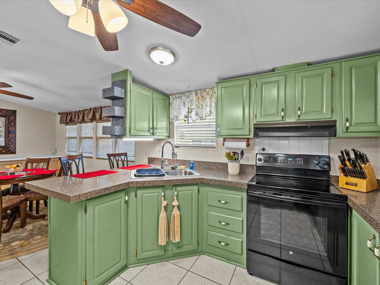 407 CITRUS RIDGE DR, DAVENPORT, FL, 33837