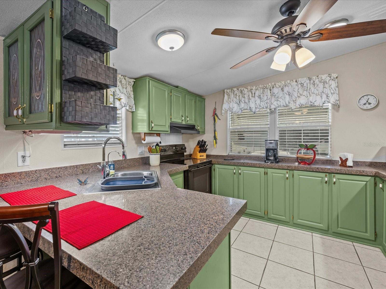 407 CITRUS RIDGE DR, DAVENPORT, FL, 33837