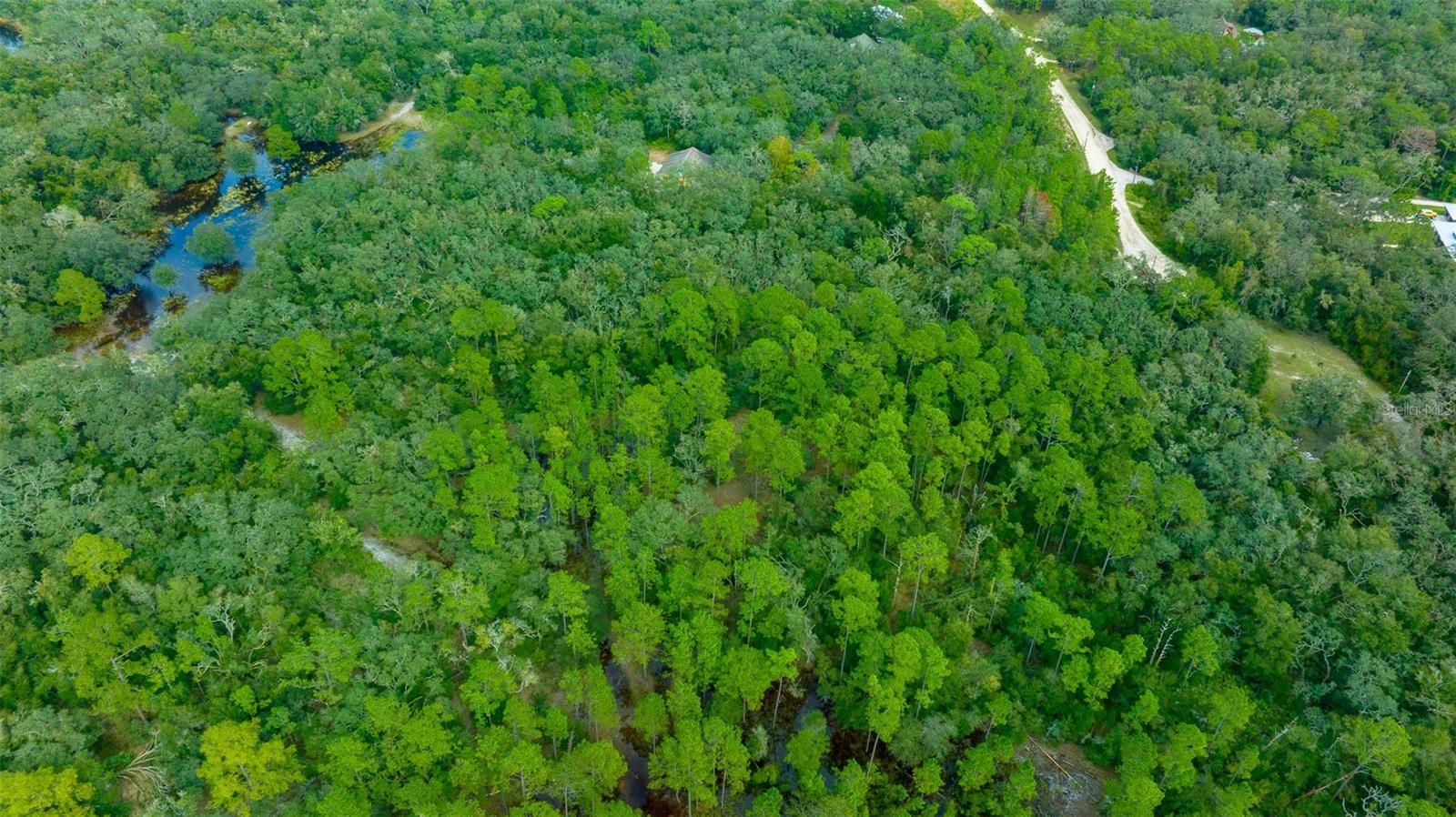 34167 BELT DR, DADE CITY, FL, 33523