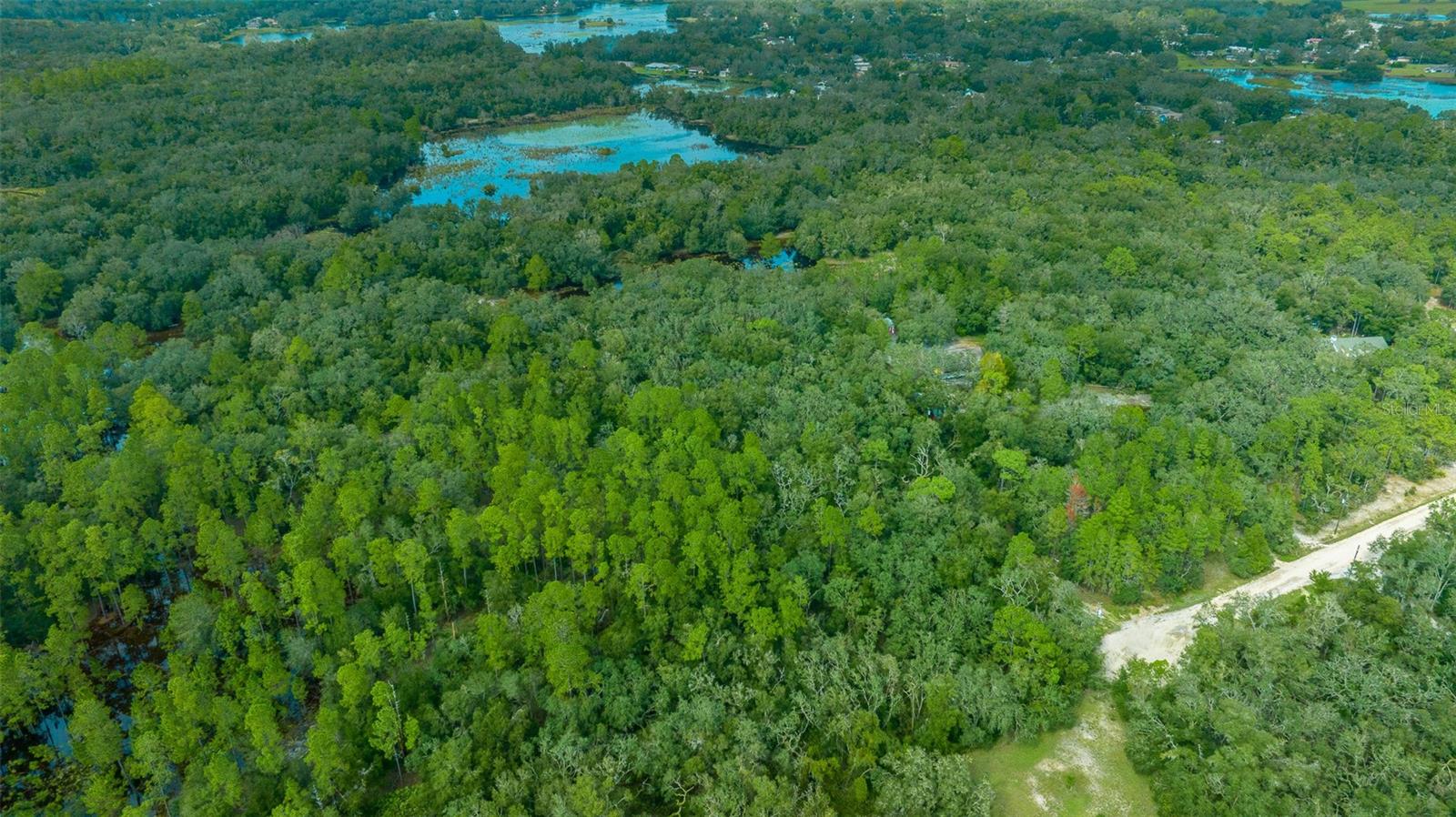 34167 BELT DR, DADE CITY, FL, 33523