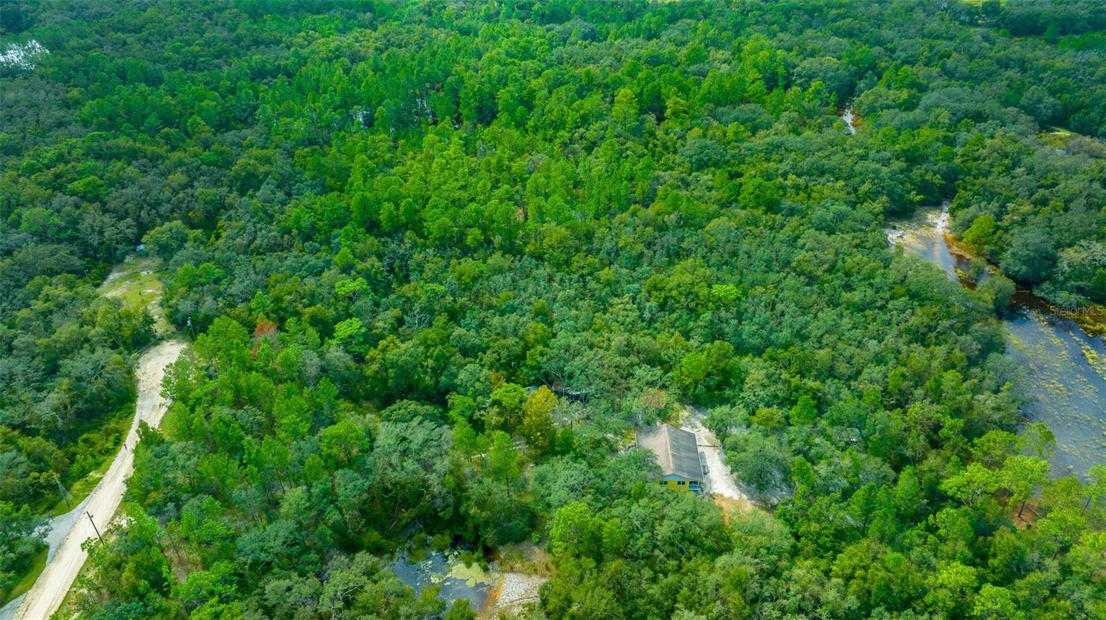 34167 BELT DR, DADE CITY, FL, 33523