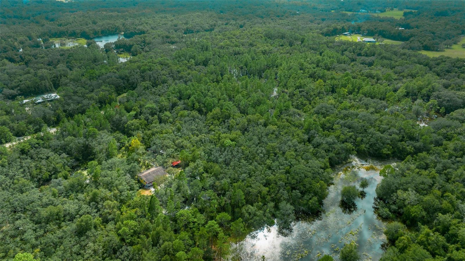 34167 BELT DR, DADE CITY, FL, 33523