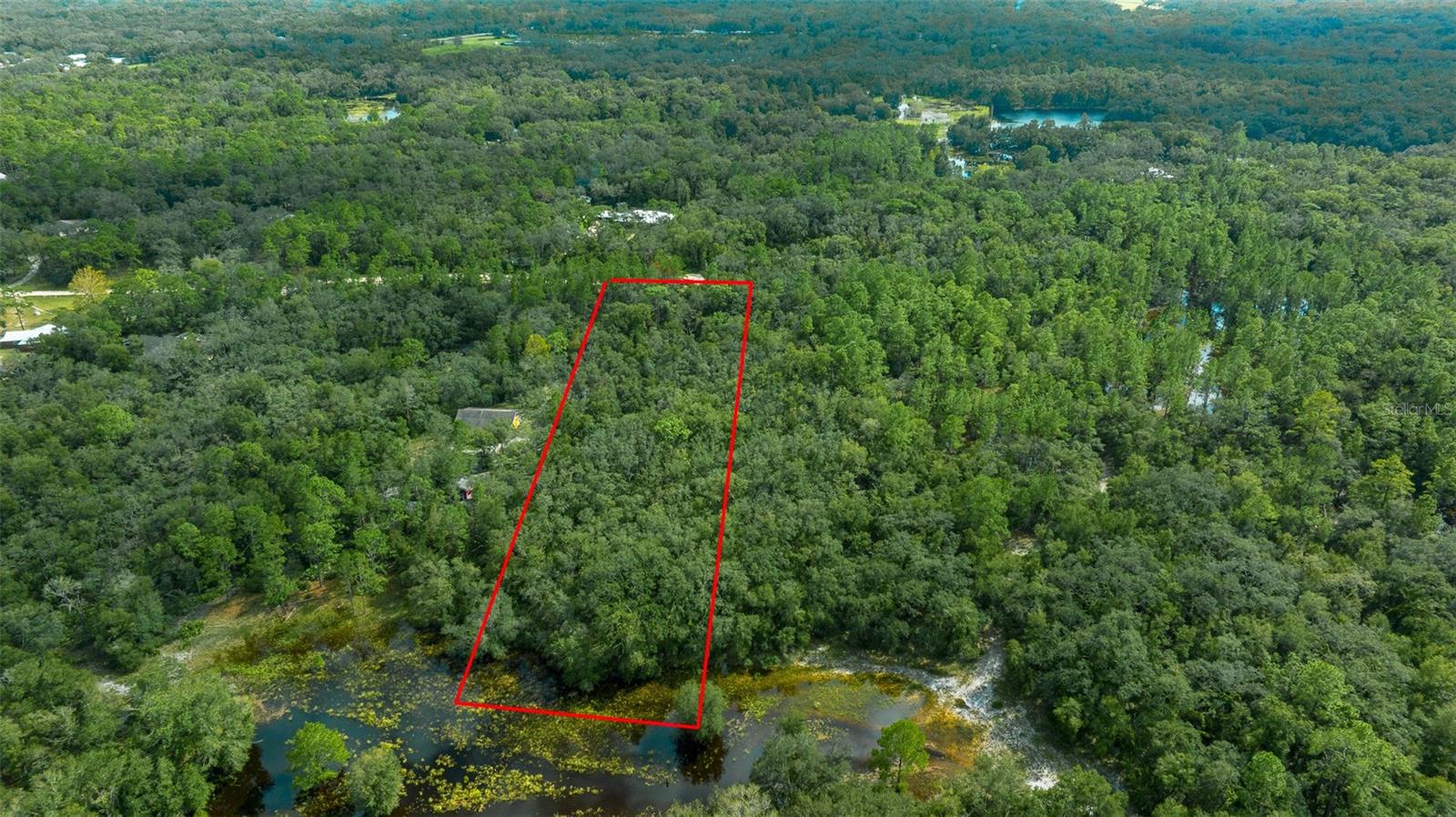 34167 BELT DR, DADE CITY, FL, 33523