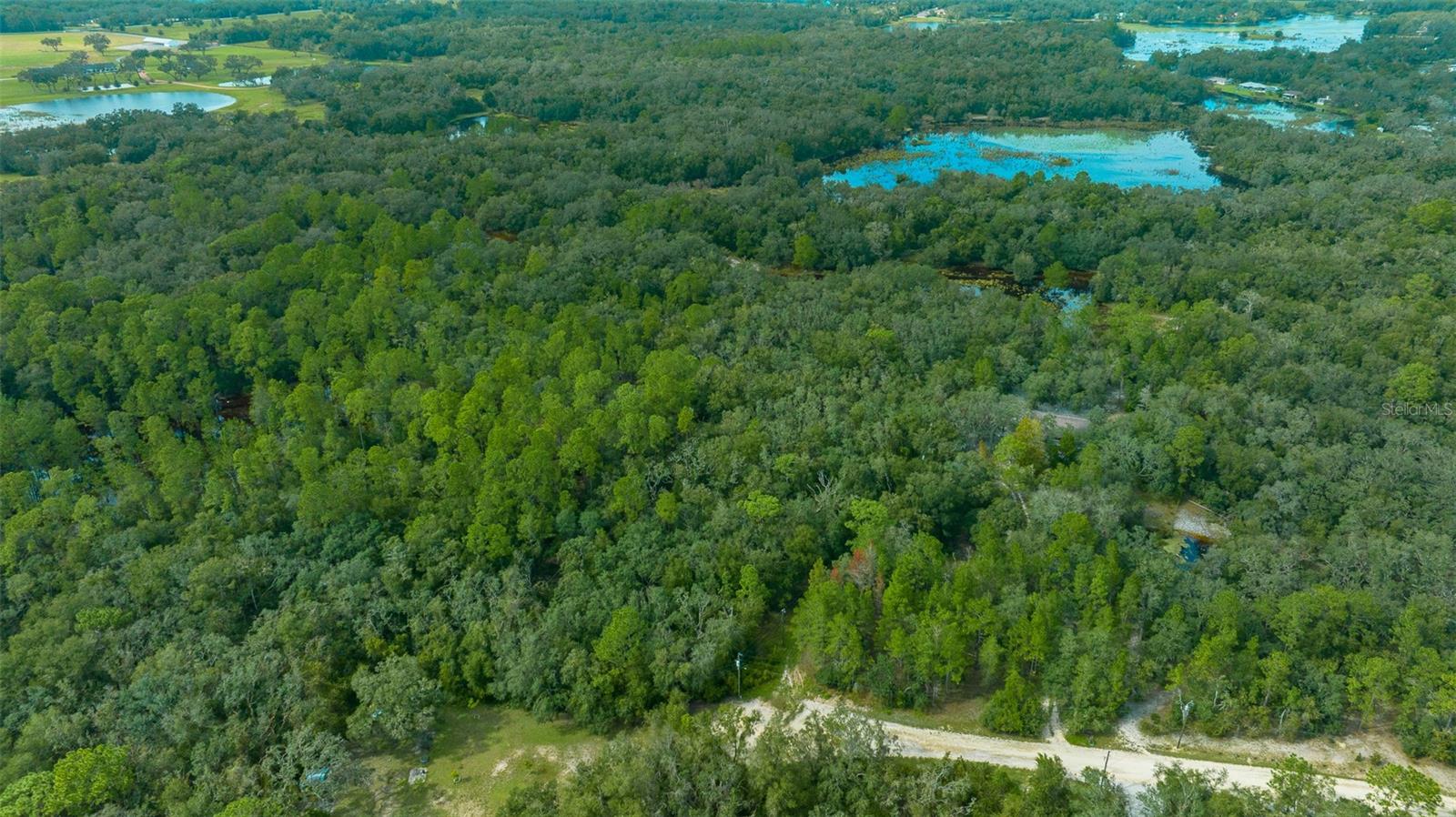 34167 BELT DR, DADE CITY, FL, 33523