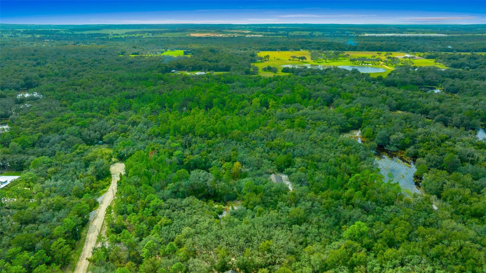 34167 BELT DR, DADE CITY, FL, 33523