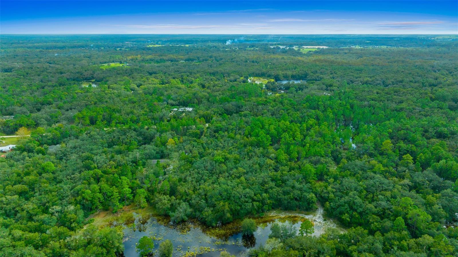 34167 BELT DR, DADE CITY, FL, 33523