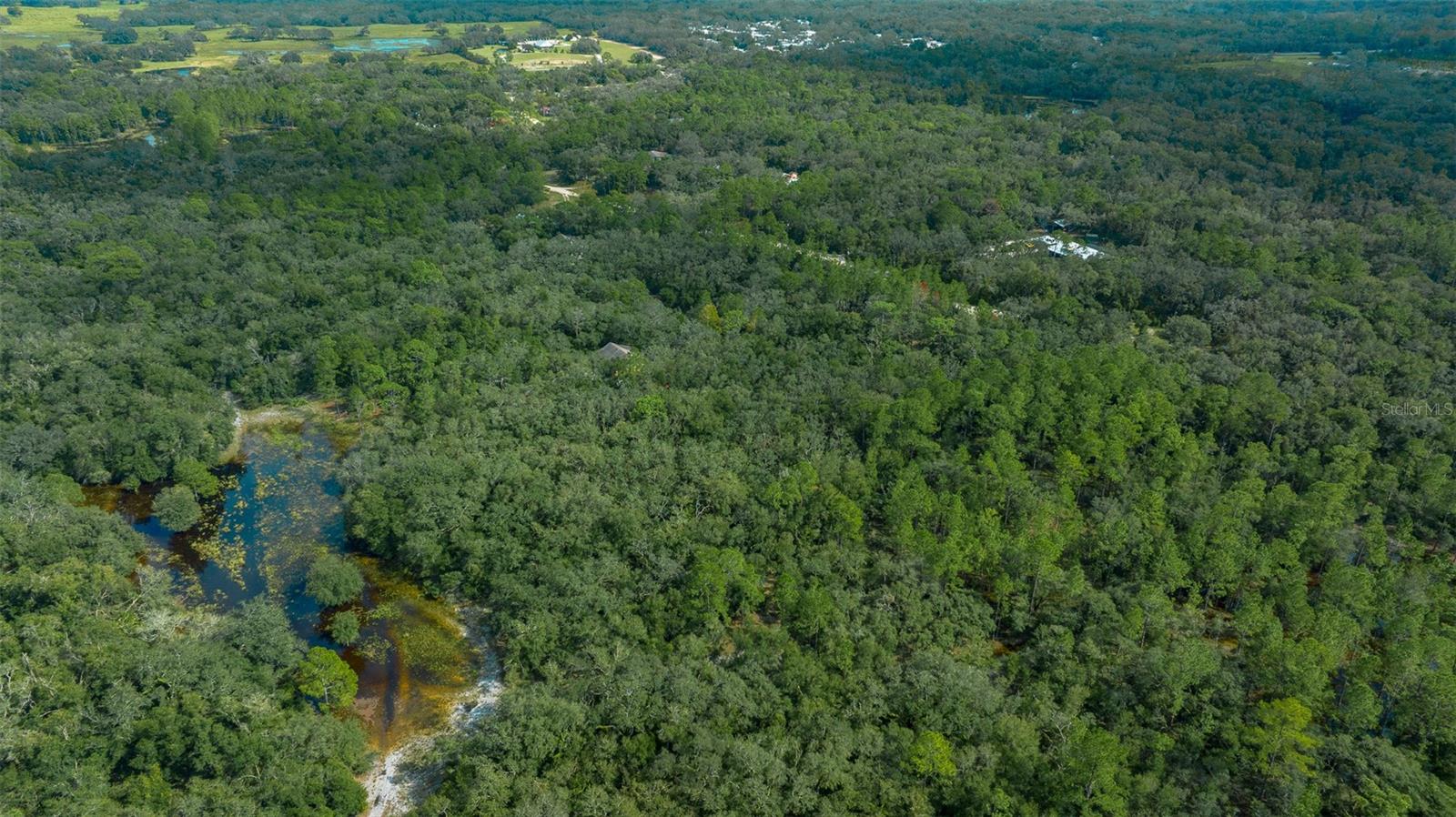 34167 BELT DR, DADE CITY, FL, 33523