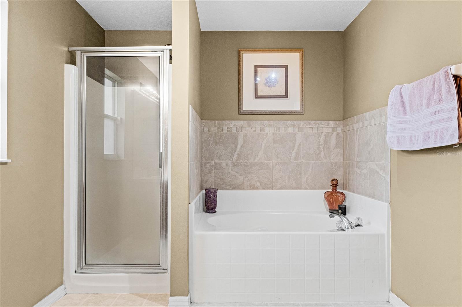 1002 TWISTED BRANCH LN, SAINT CLOUD, FL, 34771