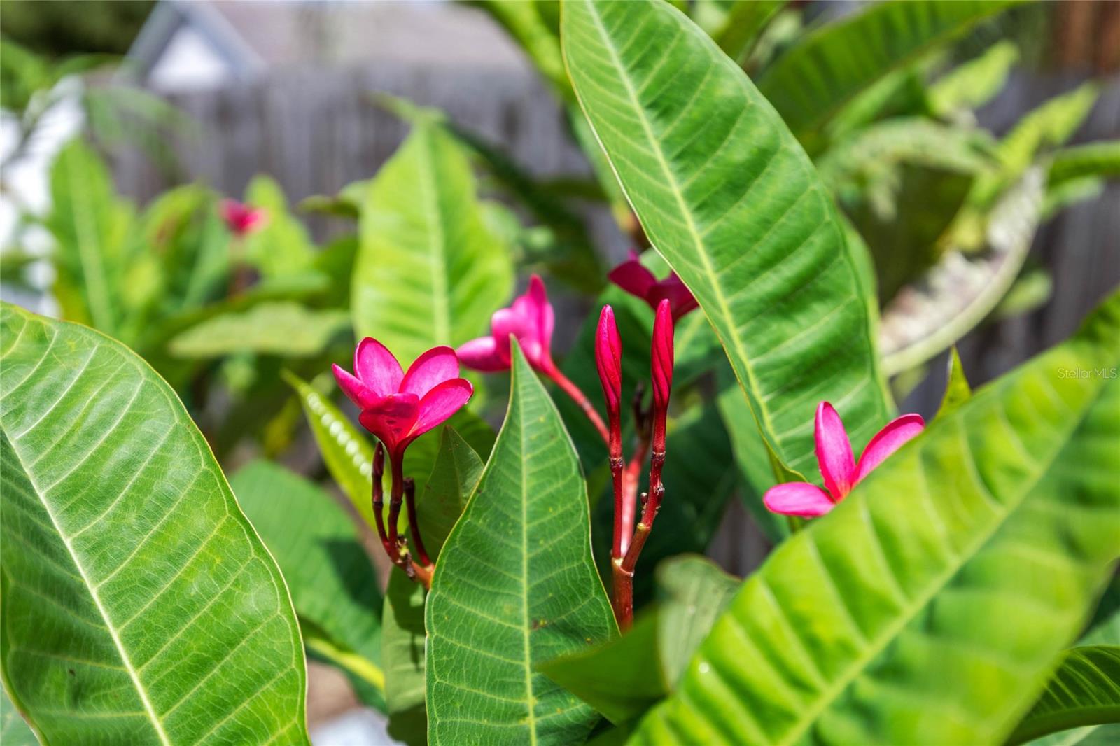 1451 TWIN RIVERS BLVD, OVIEDO, FL, 32766