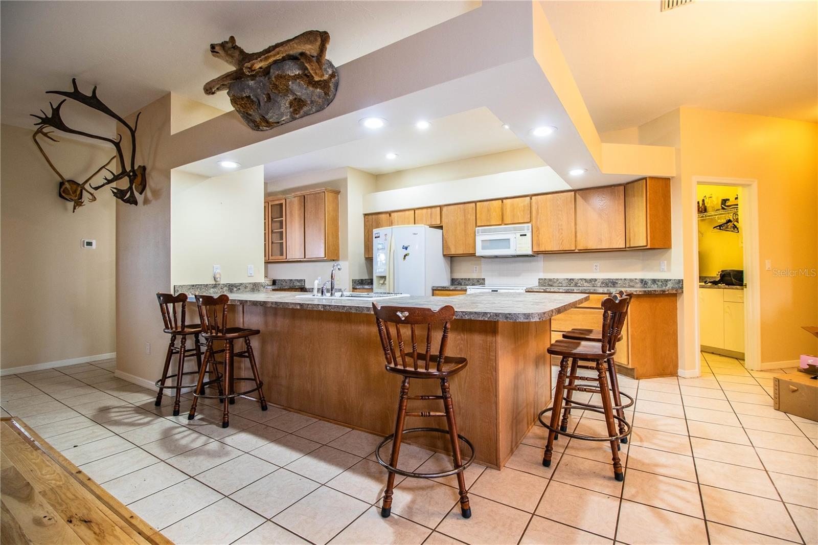 1245 LOUISIANA ST, WAUCHULA, FL, 33873