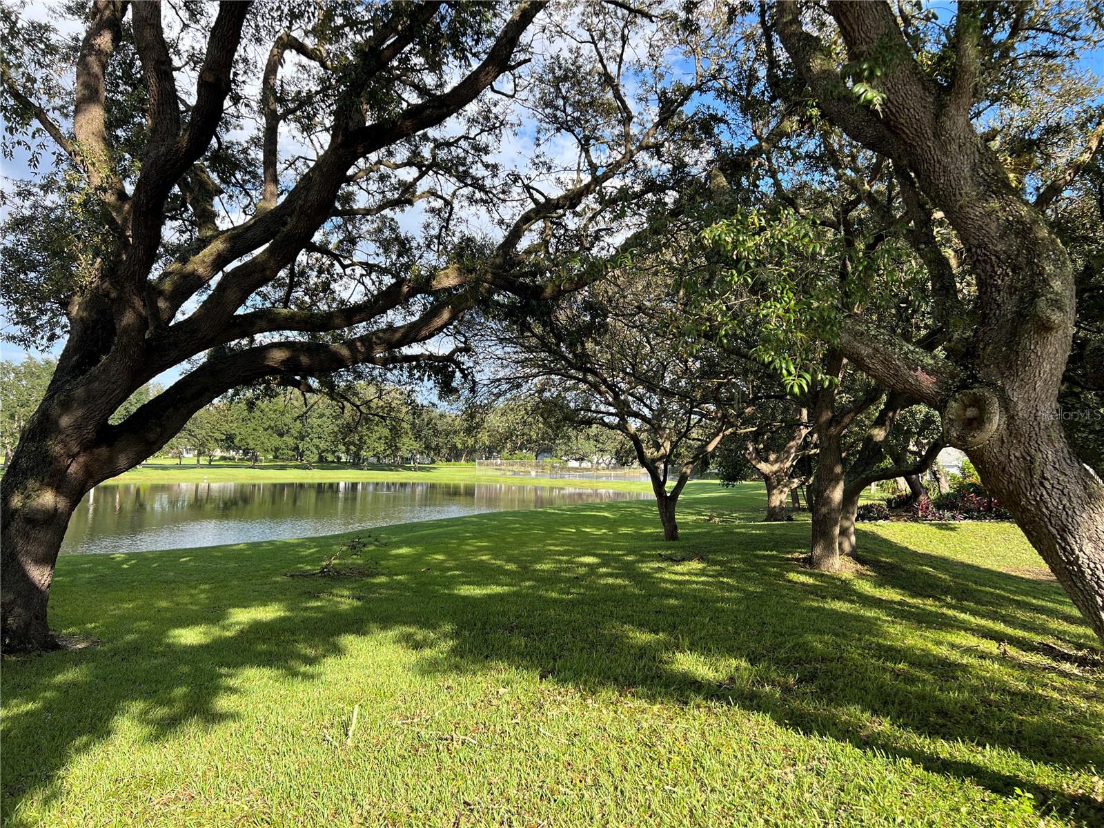 821 DUNDEE CIR, LEESBURG, FL, 34788