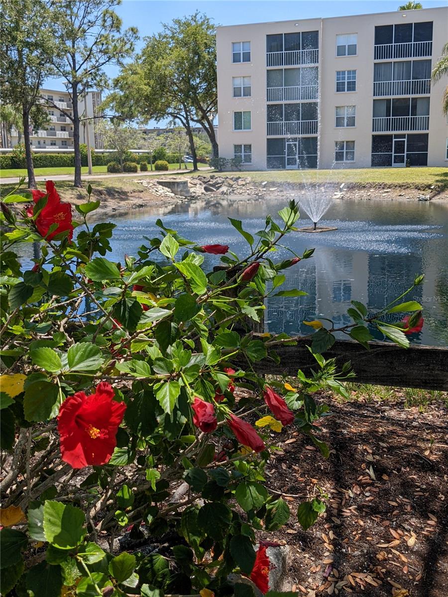 4110 IRONWOOD CIR #303, BRADENTON, FL, 34209