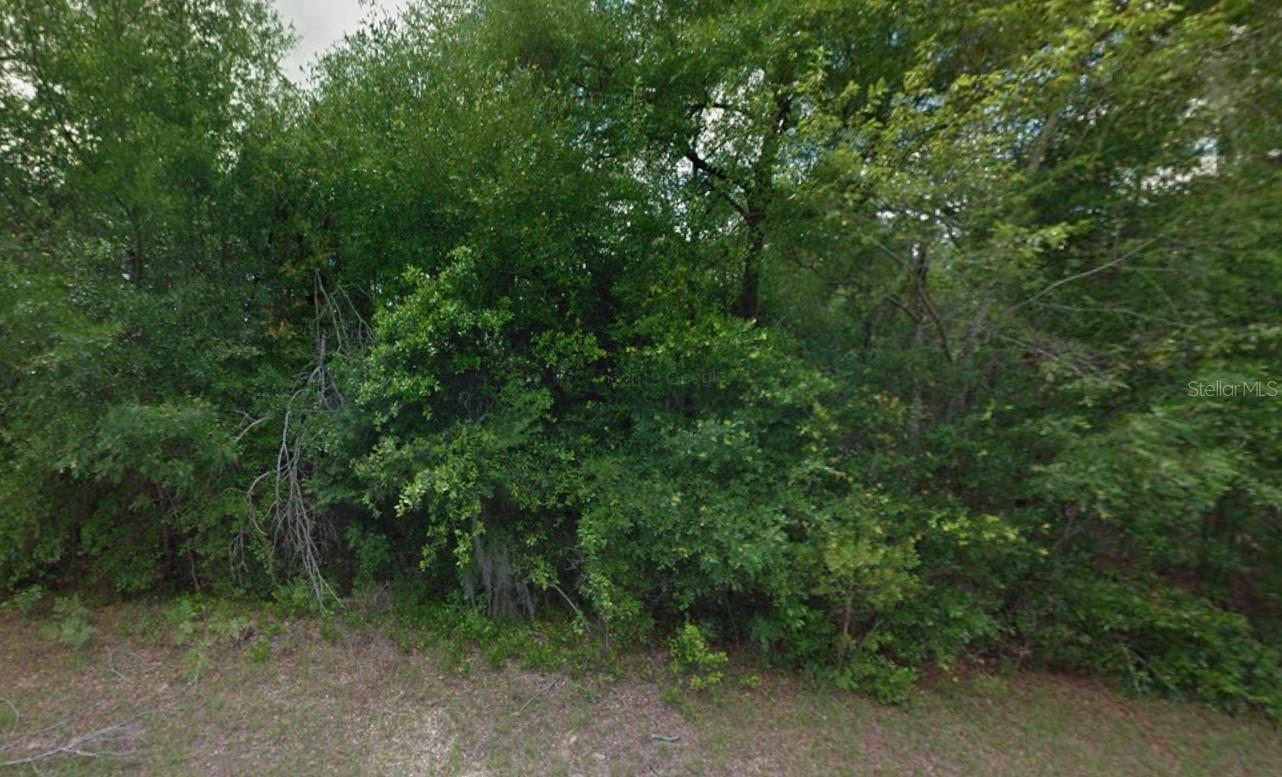 10622 N MATARO AVE, CITRUS SPRINGS, FL, 34434