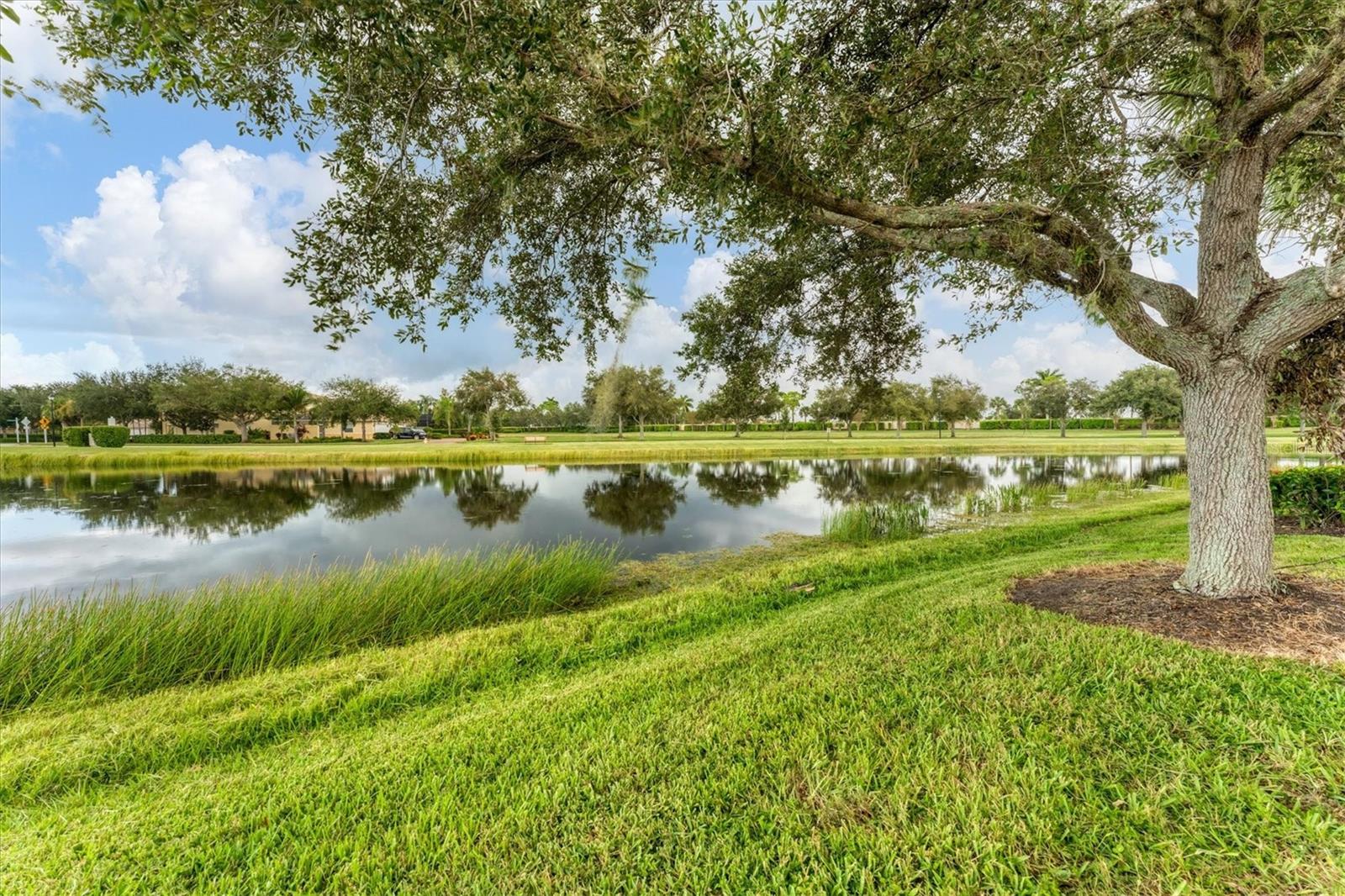6057 ERICE ST, VENICE, FL, 34293