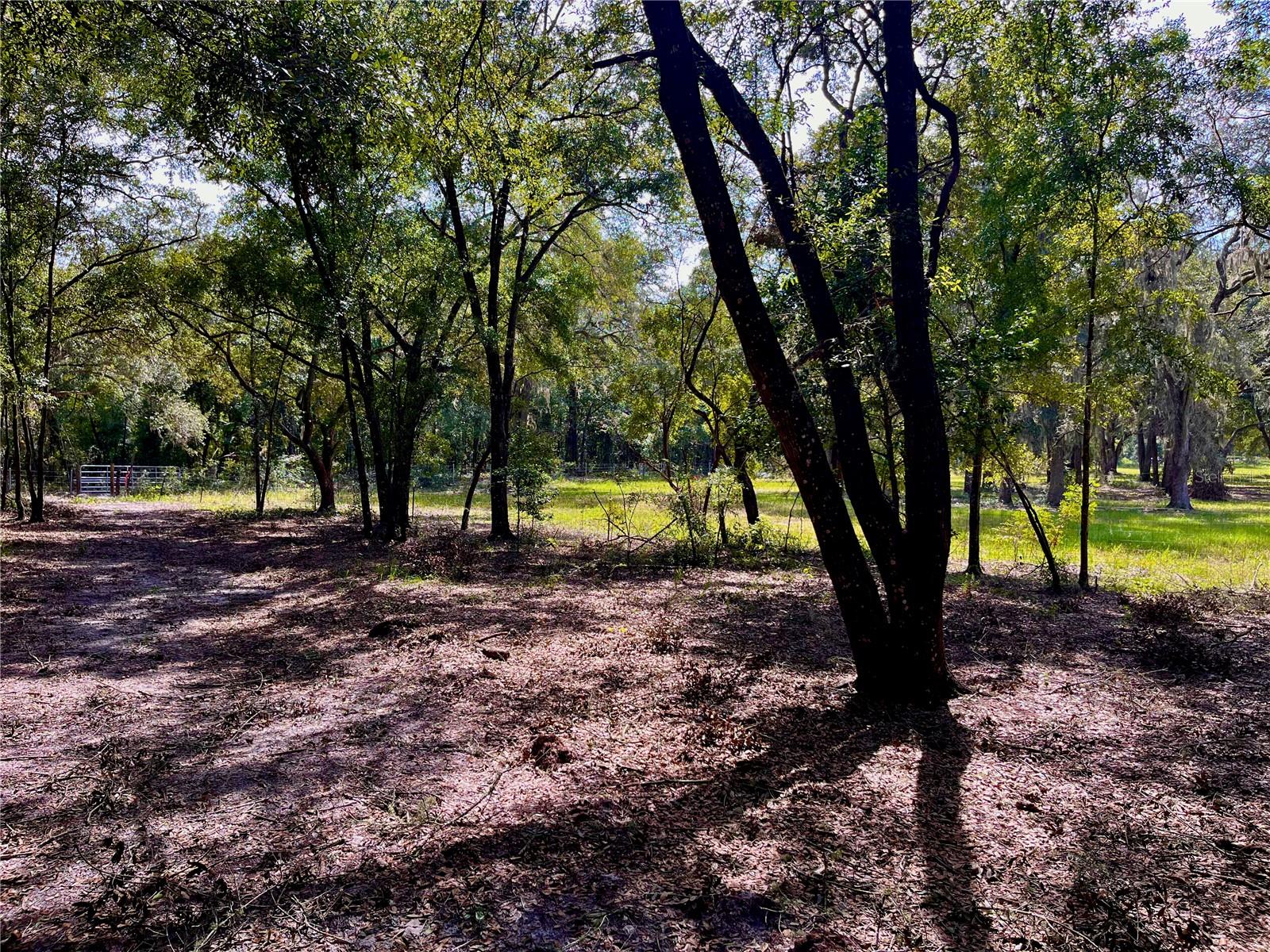 SE 199TH TER, MORRISTON, FL, 32668