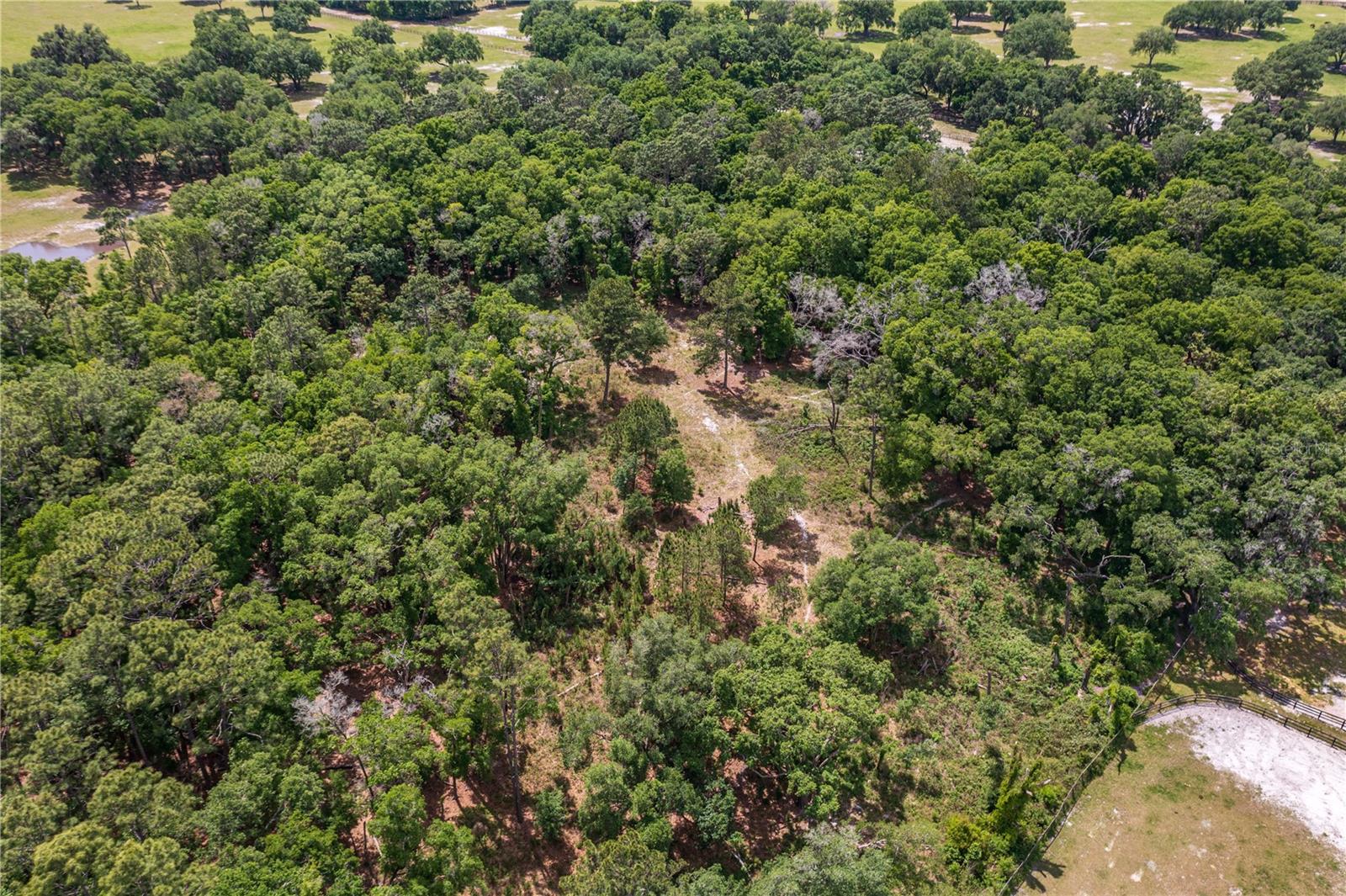 SE 199TH TER, MORRISTON, FL, 32668